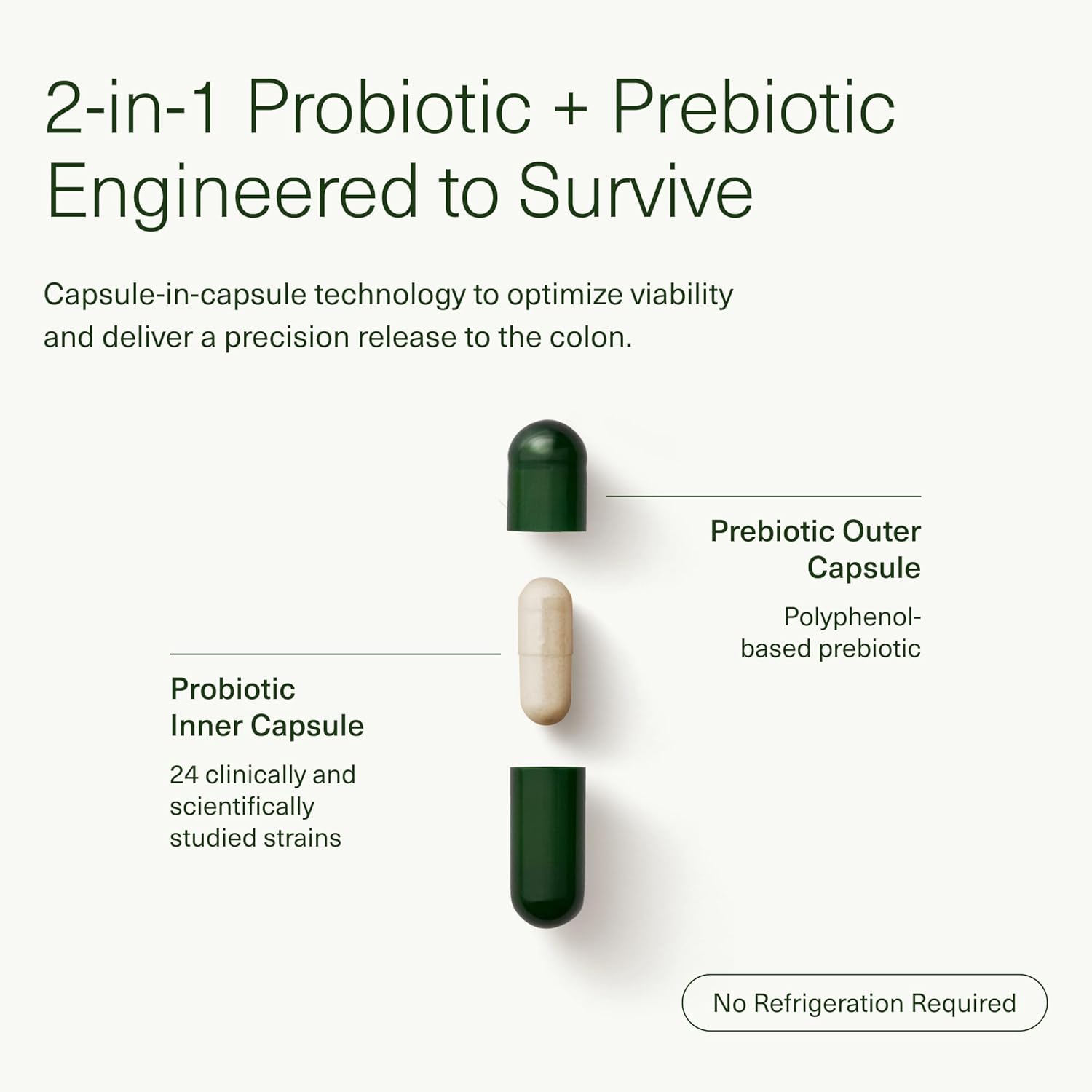 14 Day Gut Reset: Prebiotic & Probiotic for Digestive Health - Rapid Recovery, Bloating Relief - Vegan, Shelf-Stable - 28 Capsules