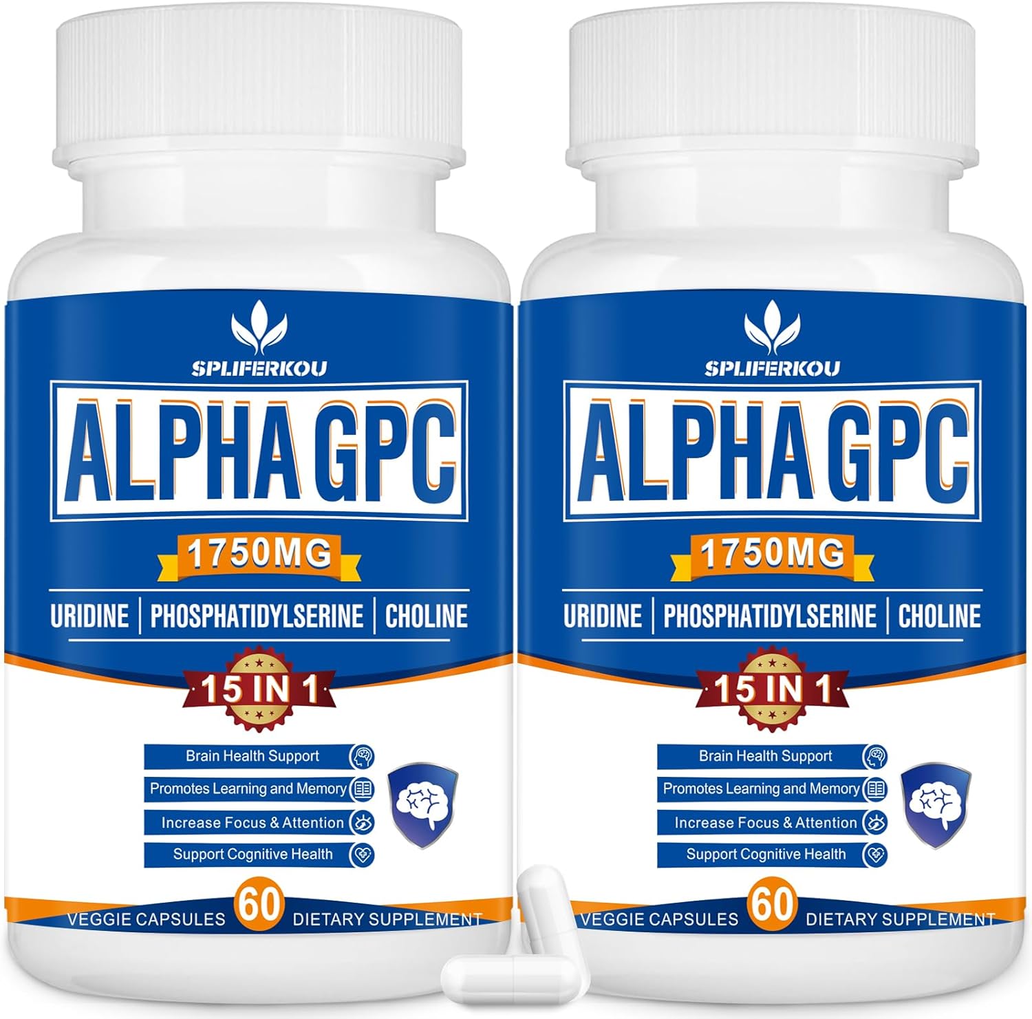 15-in-1 Alpha GPC Nootropic Brain Supplement with Lion's Mane Mushroom - Memory, Focus, Brain Support - 120 Capsules