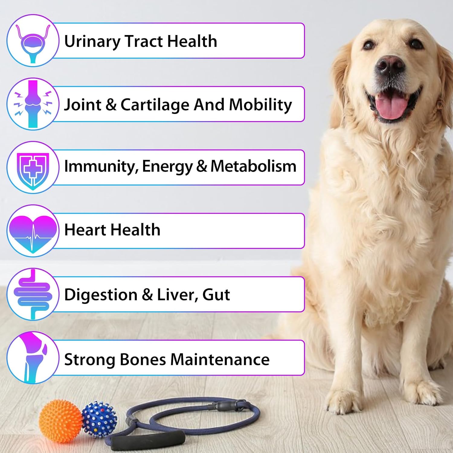 15-in-1 Dog Multivitamin Liquid Supplement - All-in-One for Digestive, Immune, Skin & Coat, Hip & Joint Support - All Ages, All Breeds - 2 oz