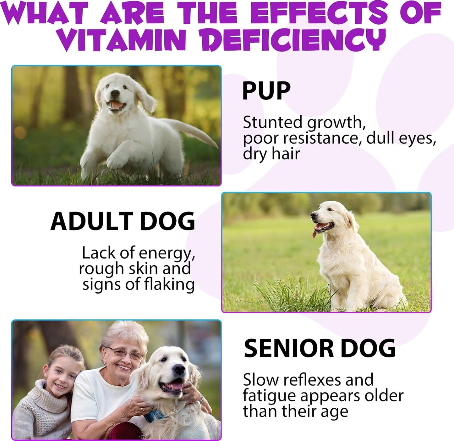 15-in-1 Dog Multivitamin Liquid Supplement - All-in-One for Digestive, Immune, Skin & Coat, Hip & Joint Support - All Ages, All Breeds - 2 oz