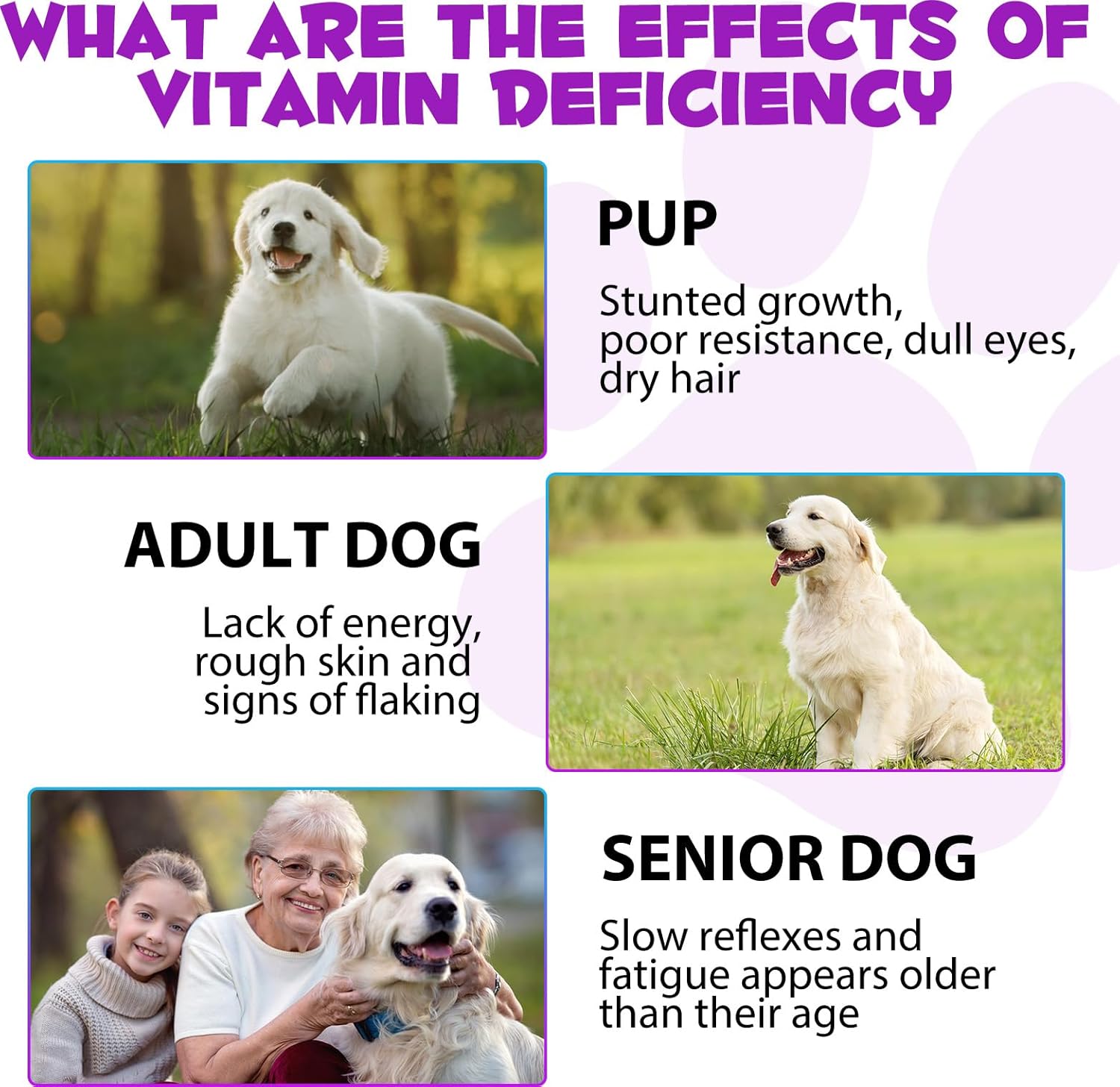 15-in-1 Dog Multivitamin Liquid Supplement - All-in-One for Digestive, Immune, Skin & Coat, Hip & Joint Support - All Ages, All Breeds - 2 oz
