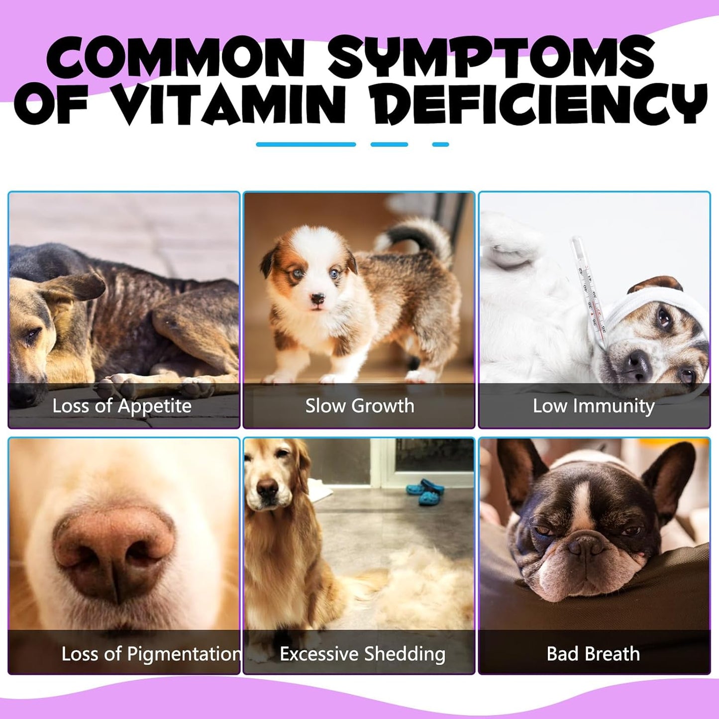 15-in-1 Dog Multivitamin Liquid Supplement - All-in-One for Digestive, Immune, Skin & Coat, Hip & Joint Support - All Ages, All Breeds - 2 oz
