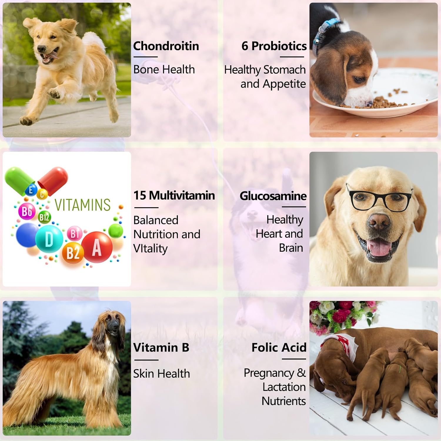 15-in-1 Dog Multivitamin Liquid Supplement - All-in-One for Digestive, Immune, Skin & Coat, Hip & Joint Support - All Ages, All Breeds - 2 oz