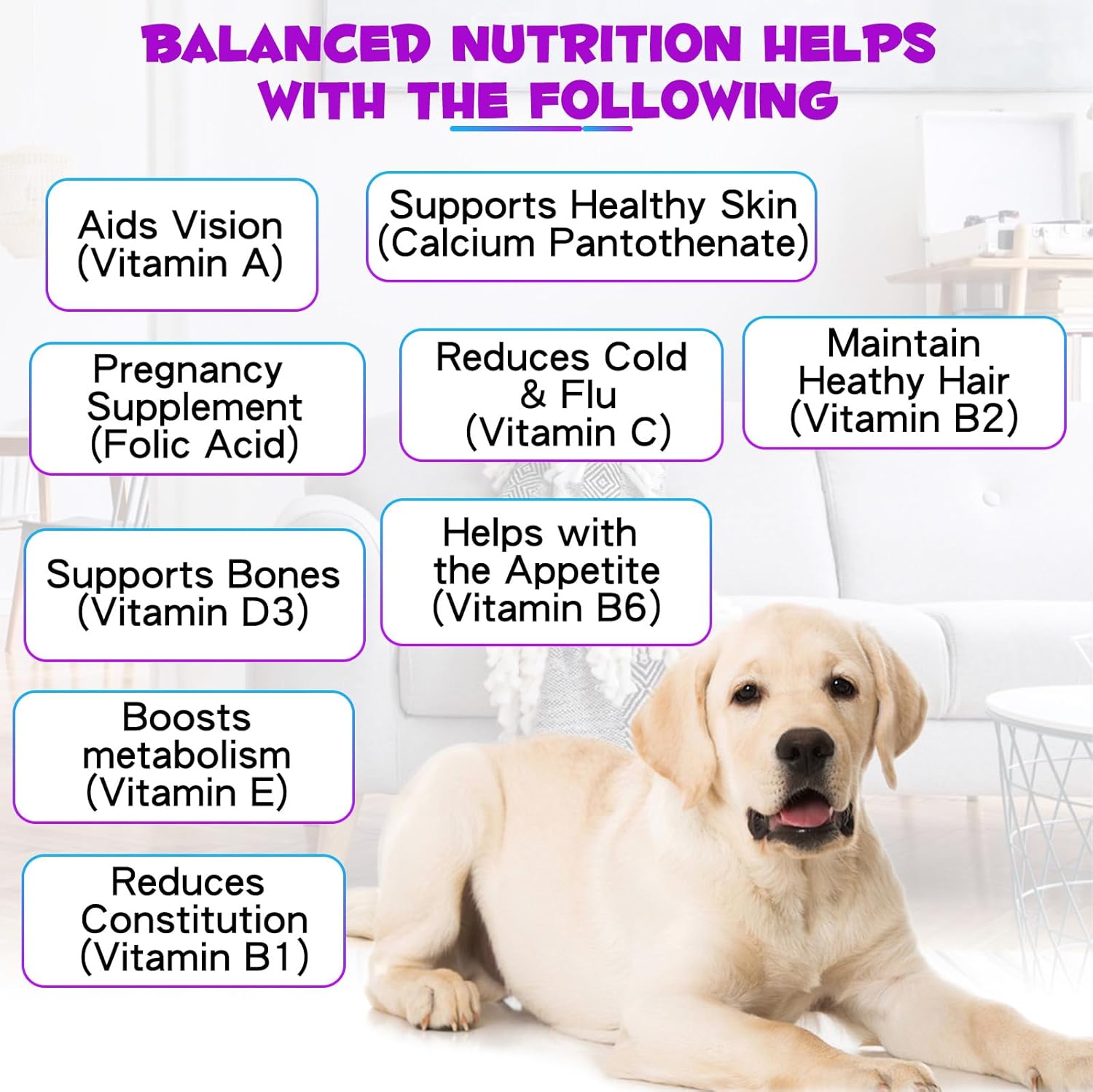 15-in-1 Dog Multivitamin Liquid Supplement - All-in-One for Digestive, Immune, Skin & Coat, Hip & Joint Support - All Ages, All Breeds - 2 oz