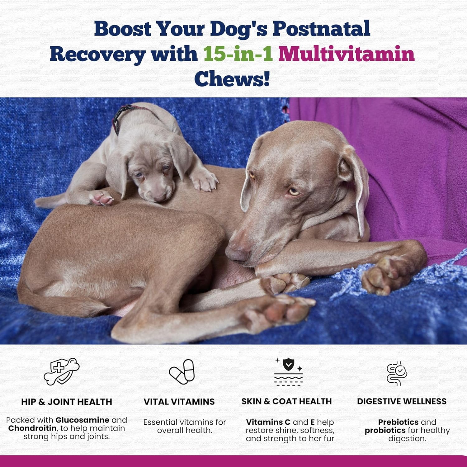 15-in-1 Postnatal Vitamins for Dogs - Promotes Recovery, Joint Health, Skin & Coat Care - Probiotics & Multivitamins - 120 Chewable Chicken Flavor Tablets