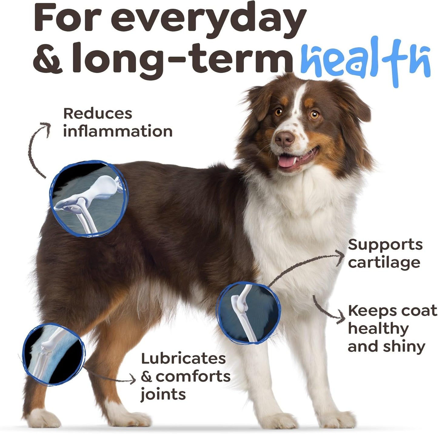 15-in-1 SimplyNatural Dog Multivitamin with Chicken Flavor - Supports Immune System, Coat, Skin - 90 Chews