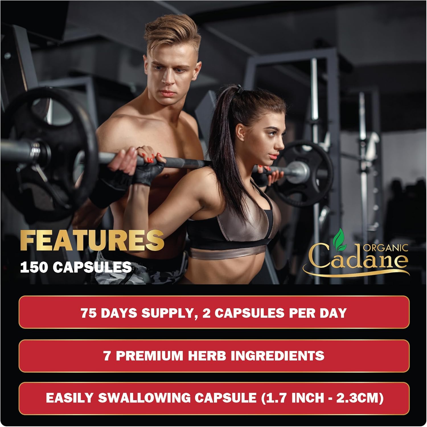 150 Capsules Organic Cadane Berberine Extract 35:1 Supplement with Gymnema Sylvestre, Green Tea - Immune System and Digestive Health Support