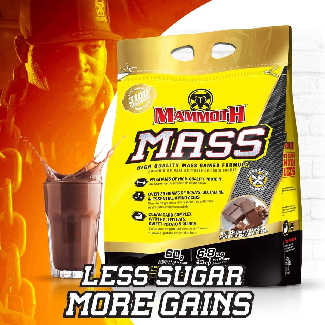 15lb Mammoth Mass Chocolate Protein Powder for Muscle Growth and Recovery