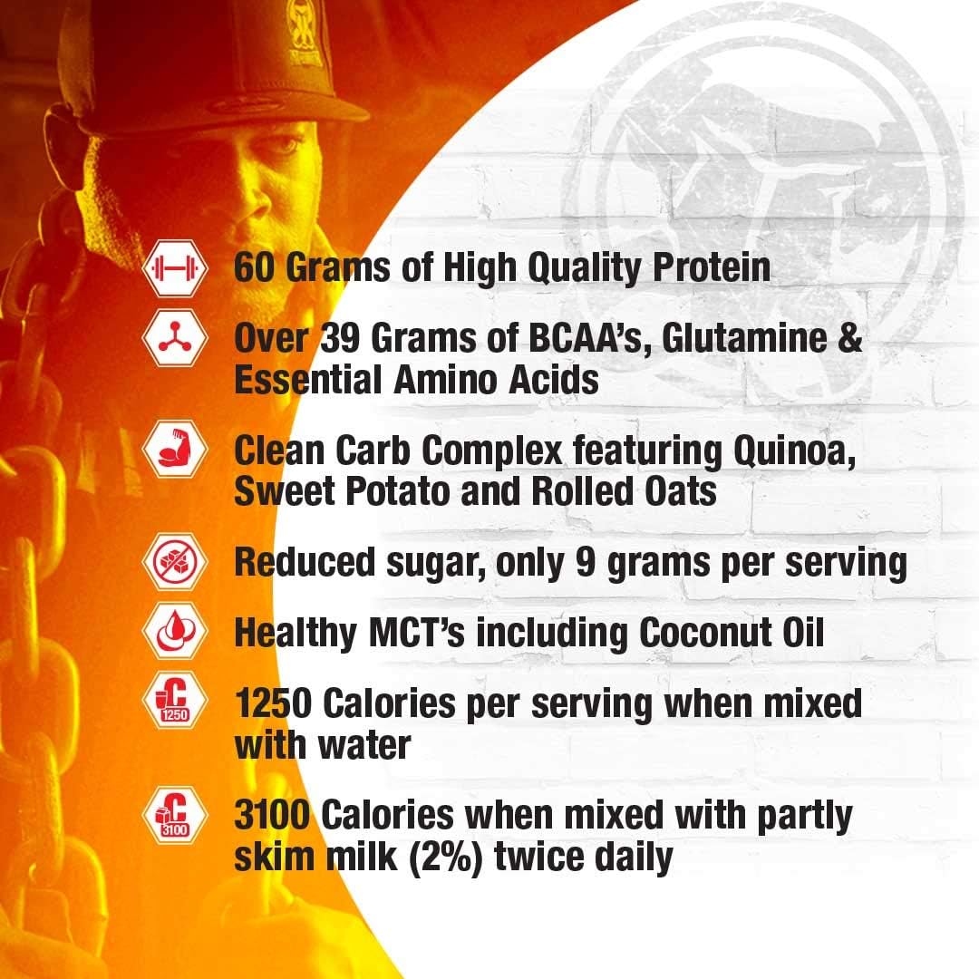 15lb Mammoth Mass Chocolate Protein Powder for Muscle Growth and Recovery