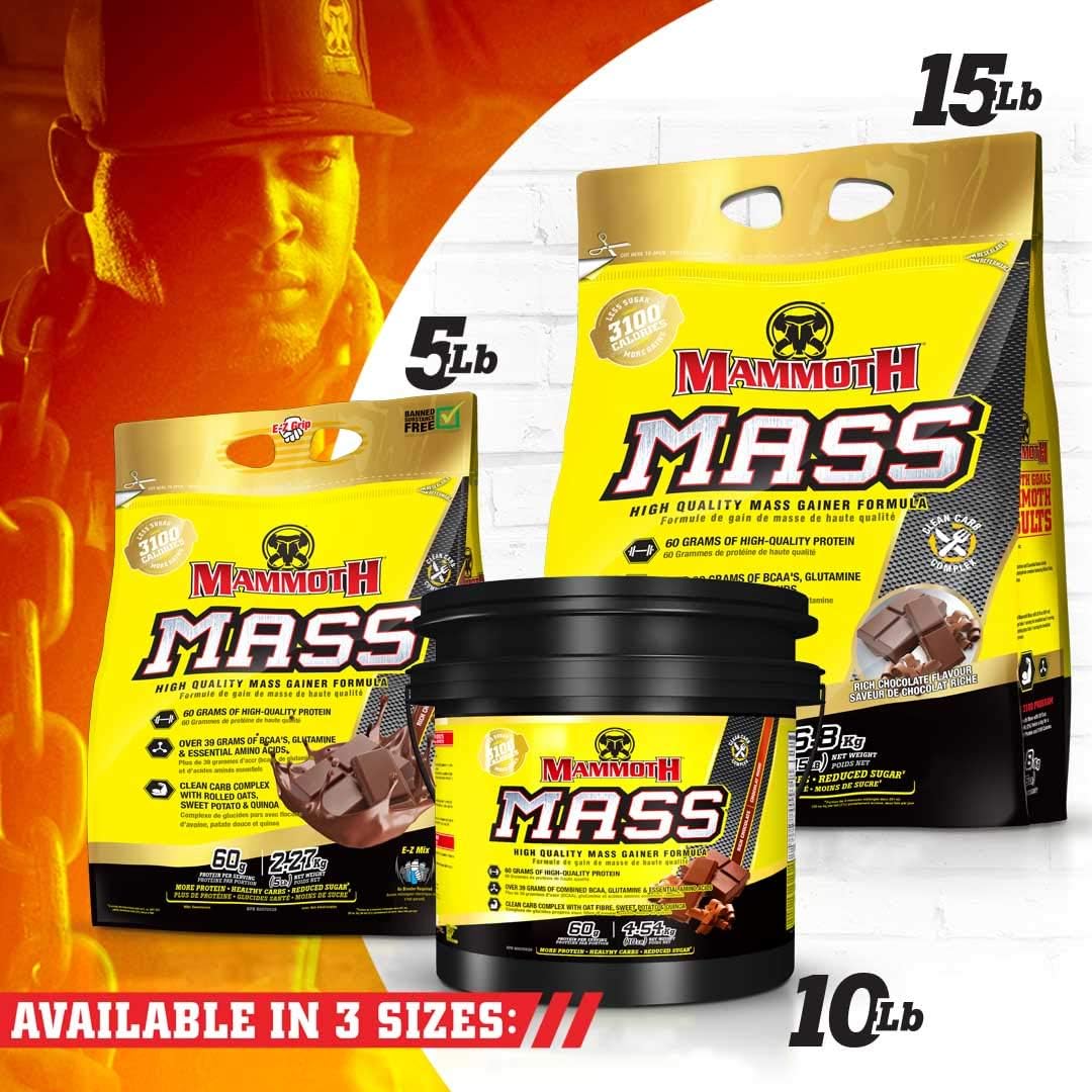 15lb Mammoth Mass Chocolate Protein Powder for Muscle Growth and Recovery