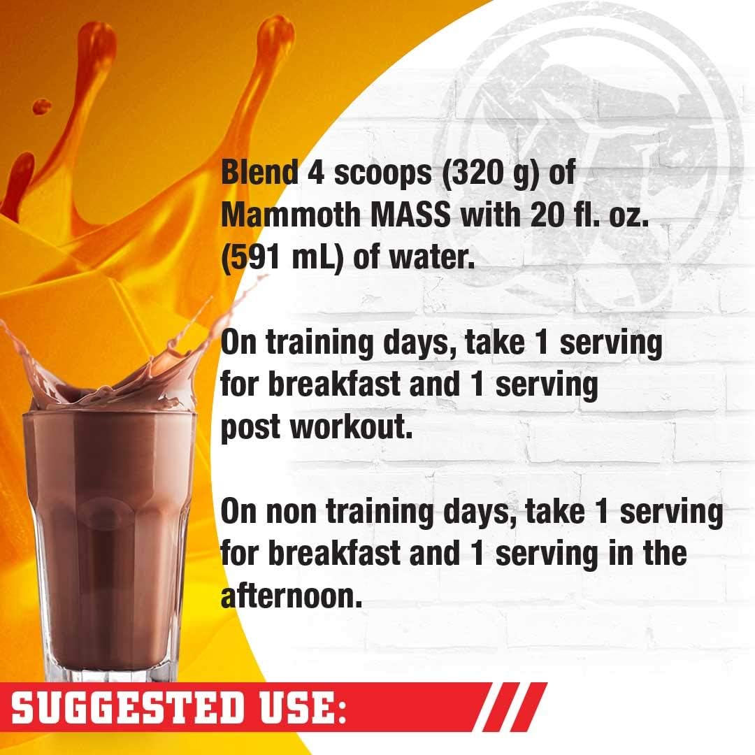 15lb Mammoth Mass Chocolate Protein Powder for Muscle Growth and Recovery