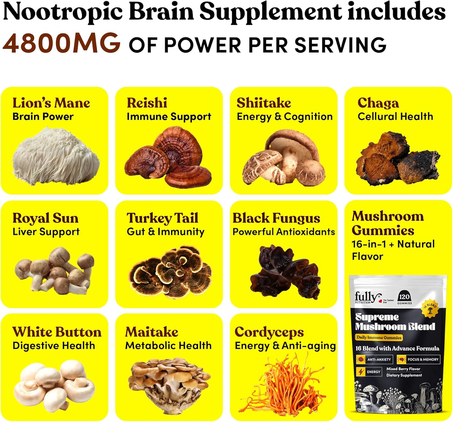 16 Blend Mushroom Supplement Gummies for Adults with Chaga, Lions Mane, Reishi, Cordyceps - Supports Focus & Clarity, Mixed Berry Flavor - Nutrient-Rich Mushroom Gummies for Microdosing