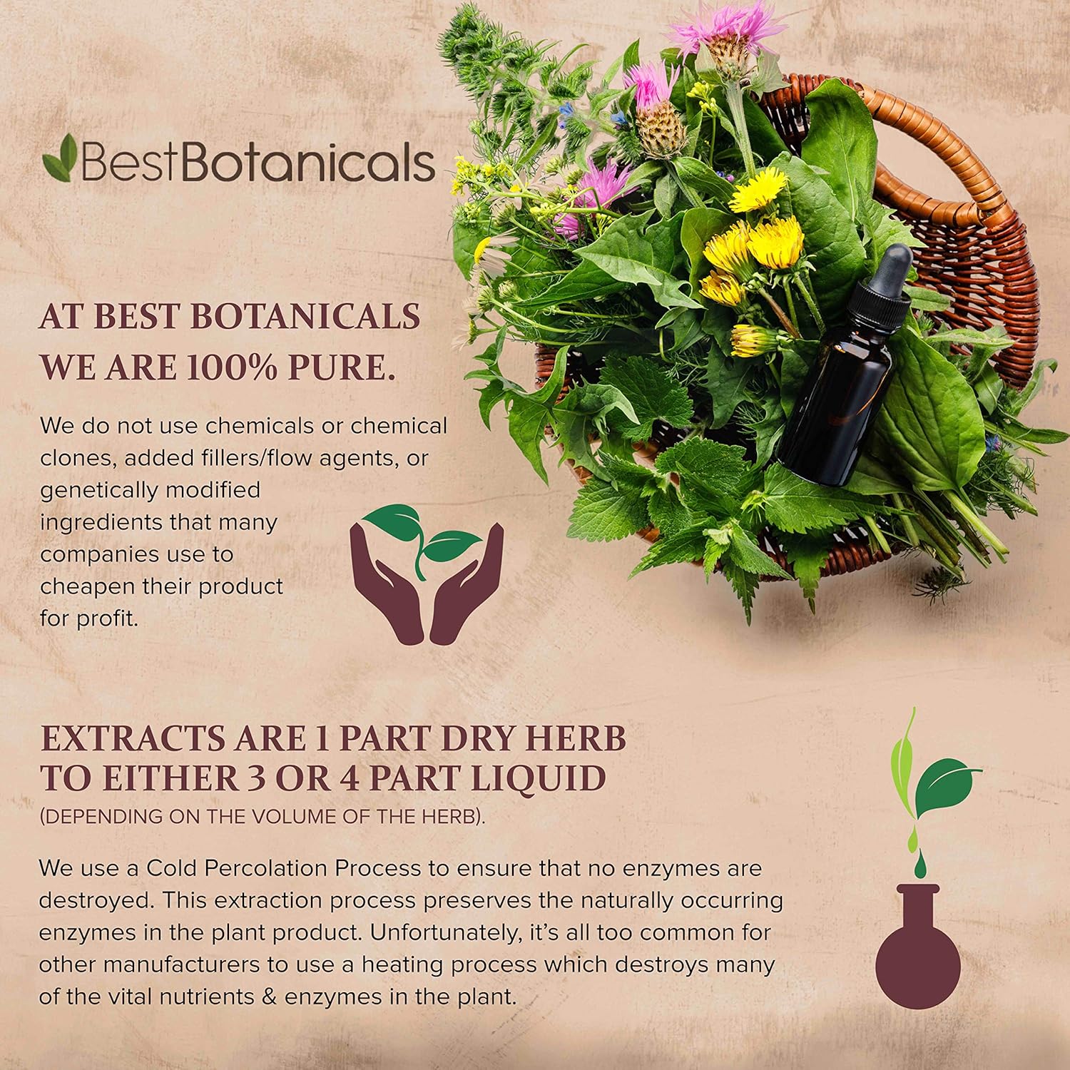 16 oz. Best Botanicals Sarsaparilla Root Powder - Premium Quality Herbal Supplement