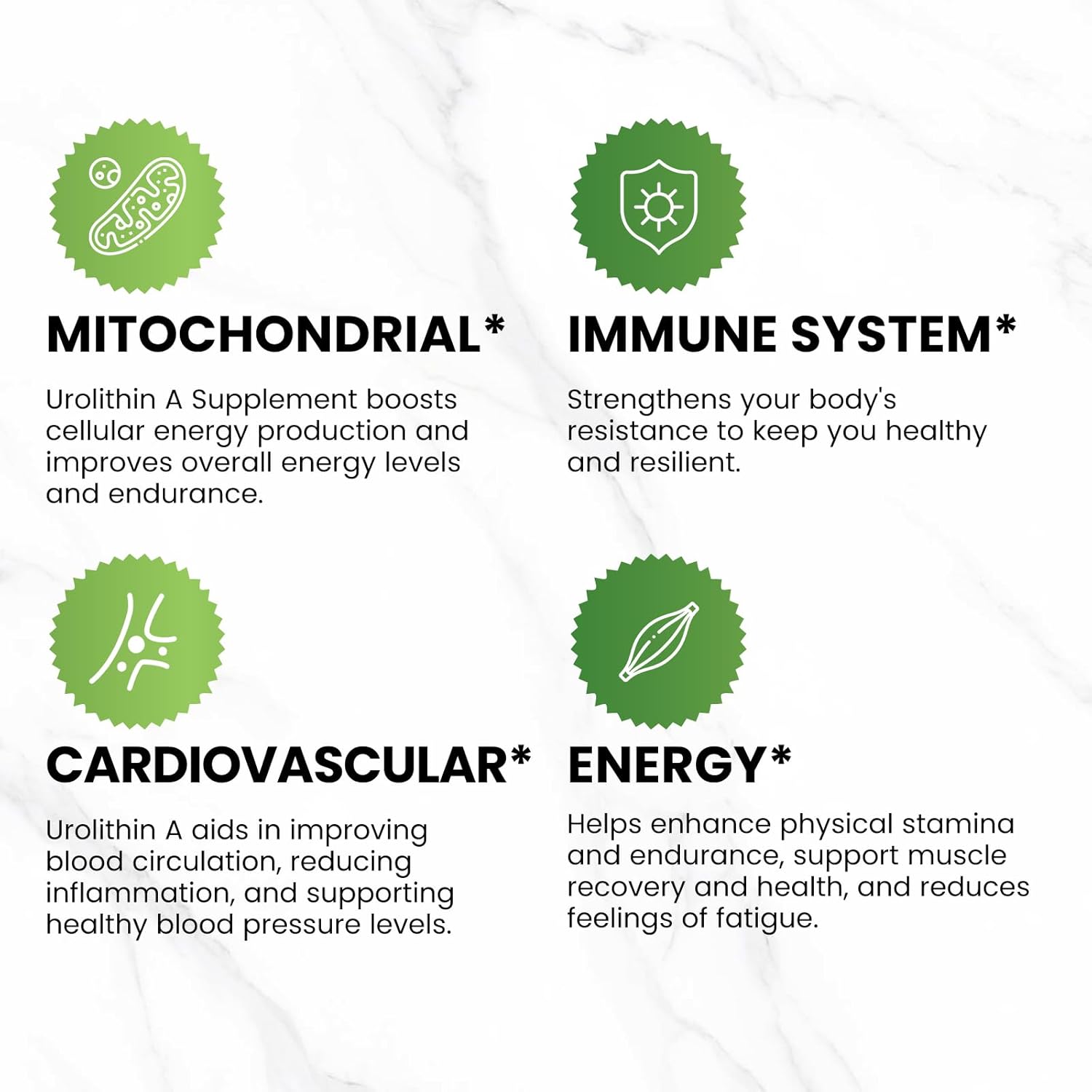 1600MG CNCHEF Urolithin A Supplement for Cellular Energy and Healthy Aging - 90 Softgels