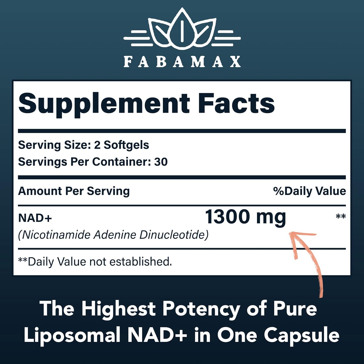 1600mg Liposomal NAD+ Supplement for Aging Defense & Energy - 240 Softgels