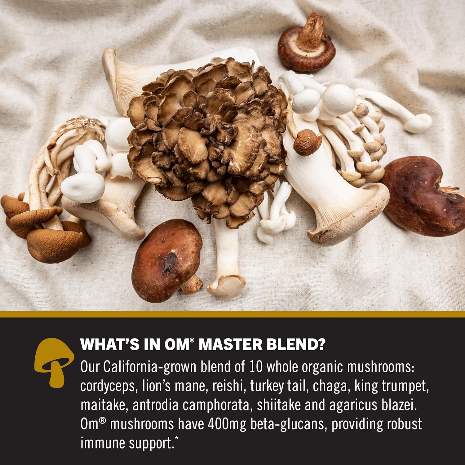 168 Count OM Mushroom Superfood Master Blend Capsules with Adaptogens for Immune Health and Stress Relief, 10 Mushroom Complex