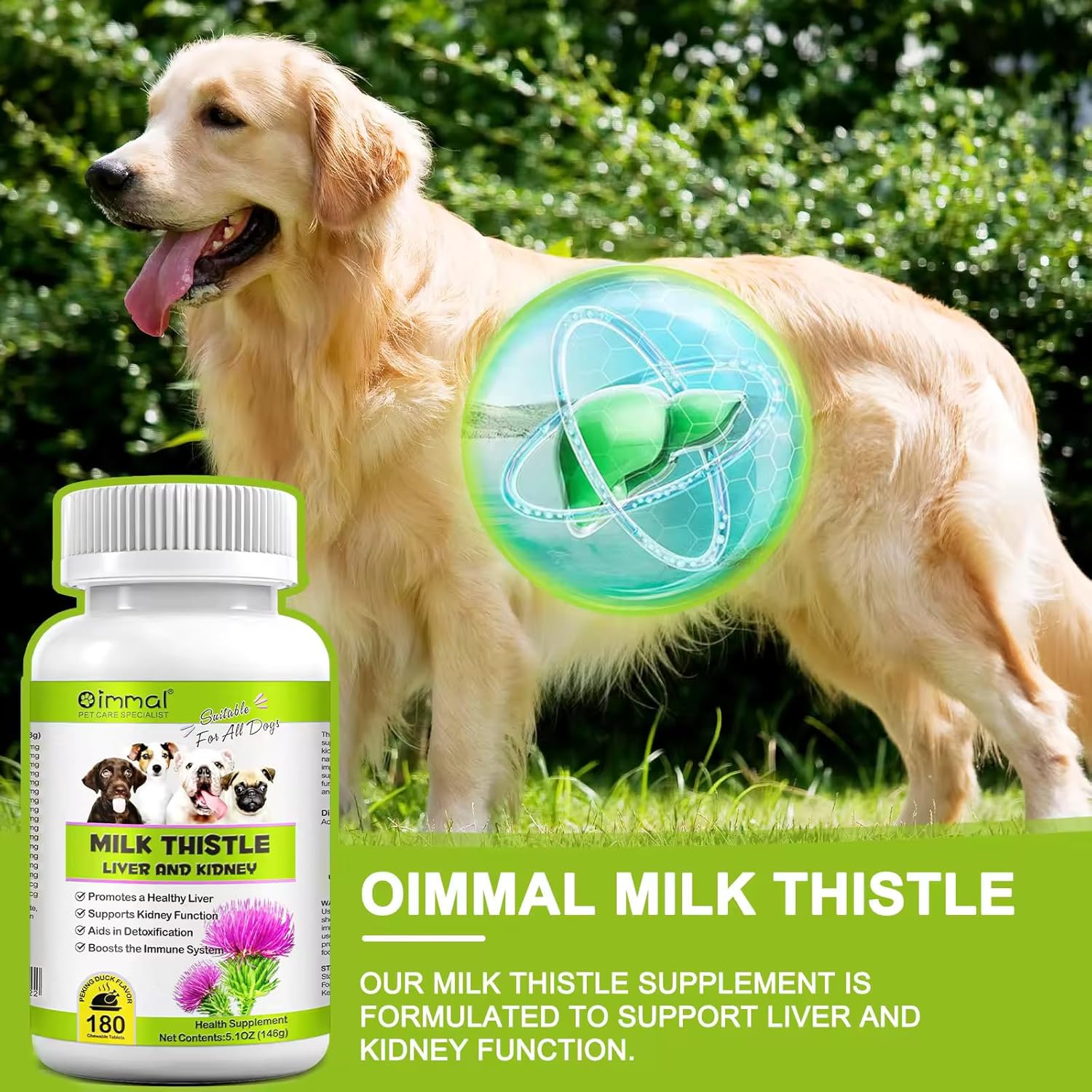 180 Chewable Tablets of Zenpaws Milk Thistle for Dogs - Liver and Kidney Support Supplement - Detox Aid for Canines