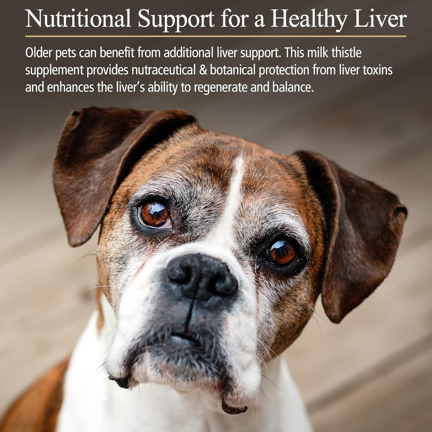 180 ct. Rx Vitamins Hepato Support Milk Thistle Supplement for Dogs & Cats - 100mg Silymarin Capsules for Healthy Liver Function in Pets