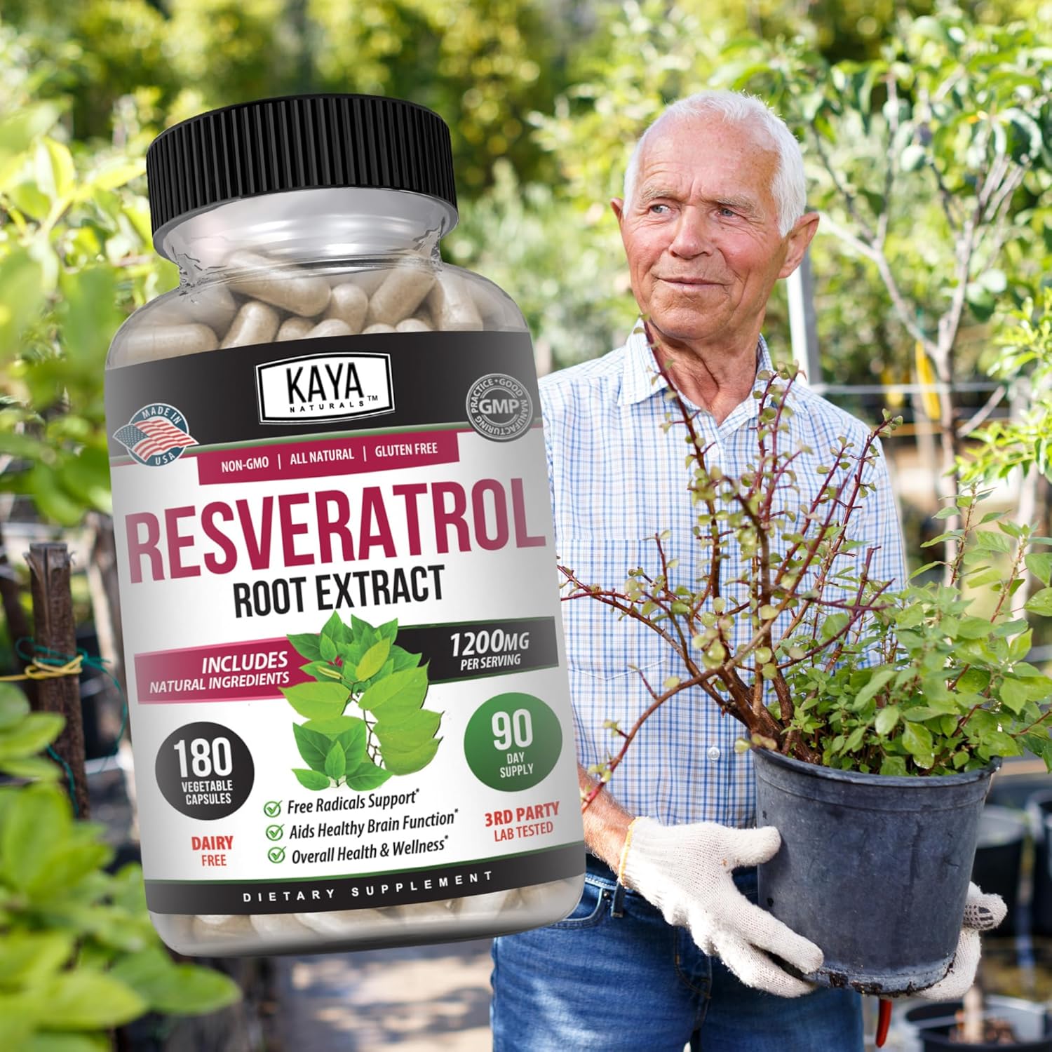 180 Vegetarian Resveratrol Capsules for Anti-Aging with Brain Support and Antioxidant Benefits by Kaya Naturals