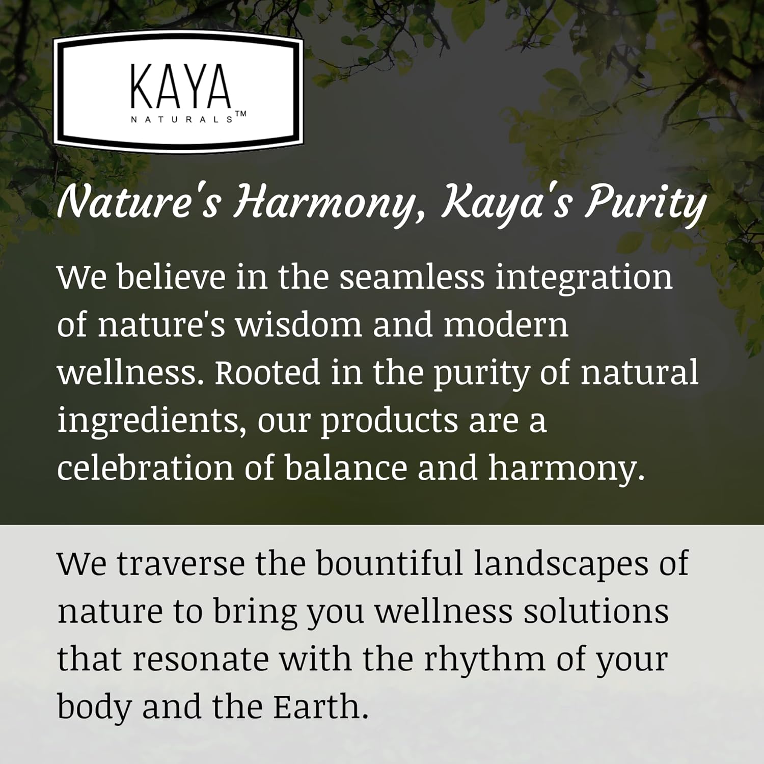 180 Vegetarian Resveratrol Capsules for Anti-Aging with Brain Support and Antioxidant Benefits by Kaya Naturals
