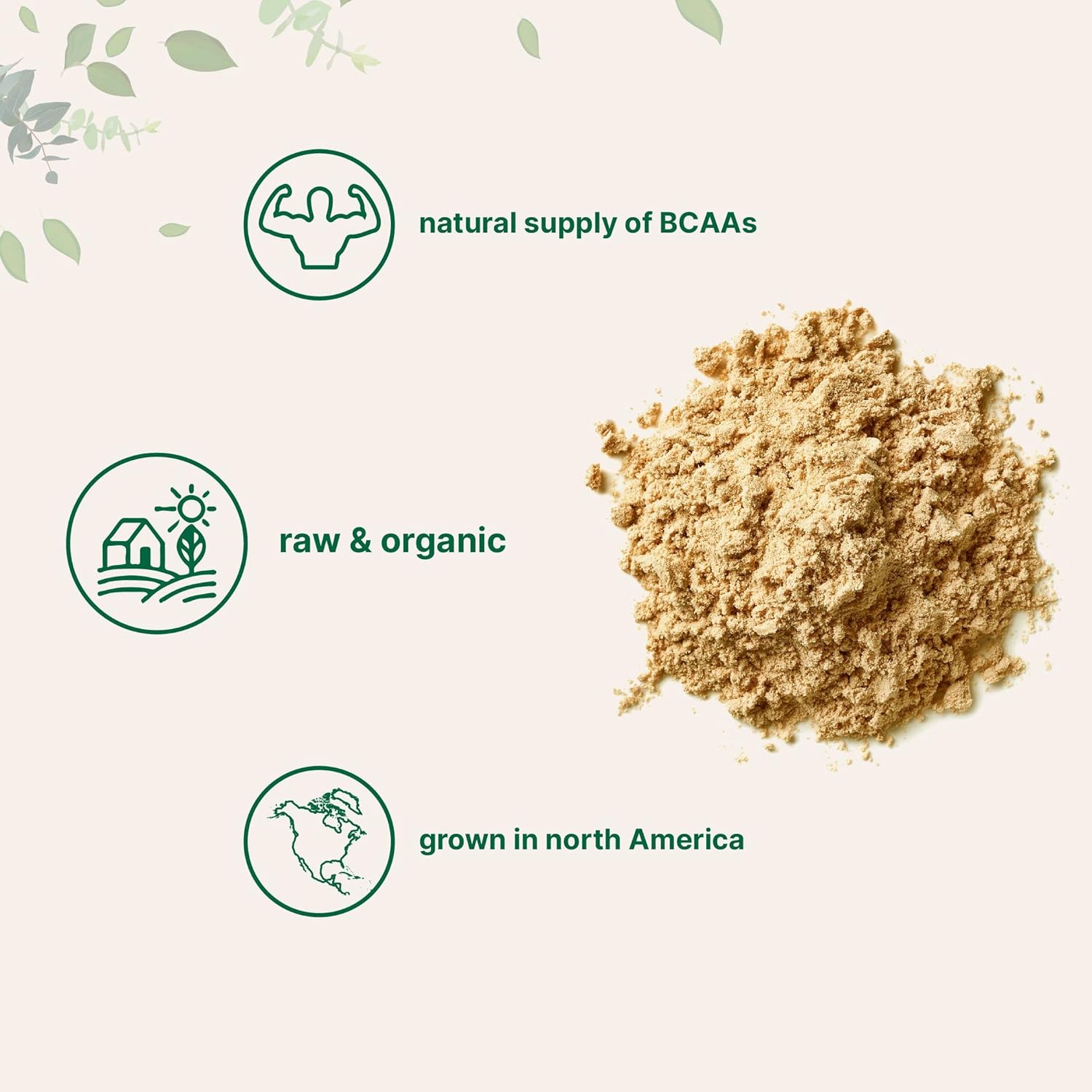 1KG Organic Pea Protein Powder from North America | Vegan Meatless Supplement with BCAAs | Non-GMO, Soy Free