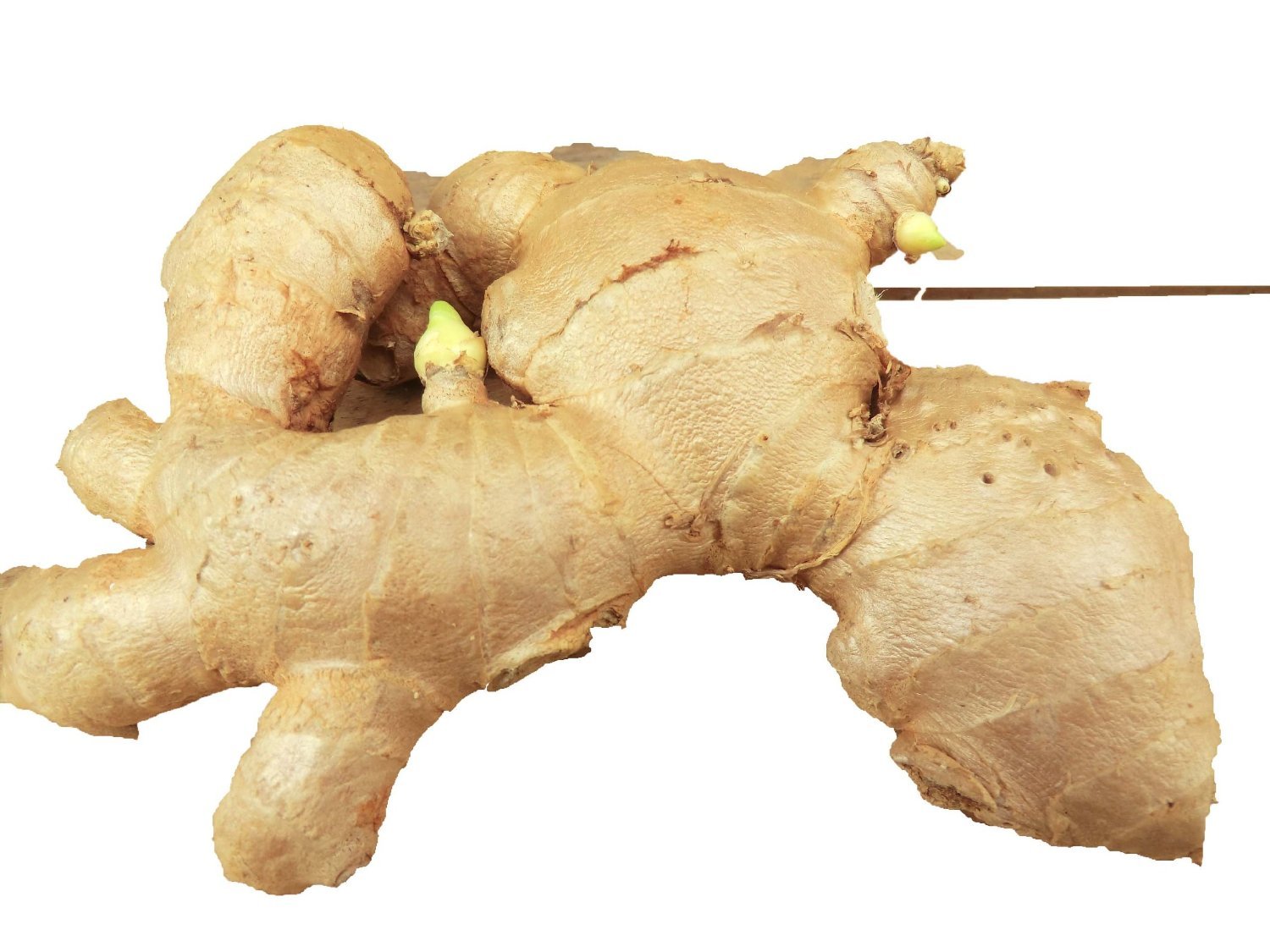 1lb Fresh Ginger Root from Om India Plaza - High Quality, Organic Spice for Cooking and Health Benefits