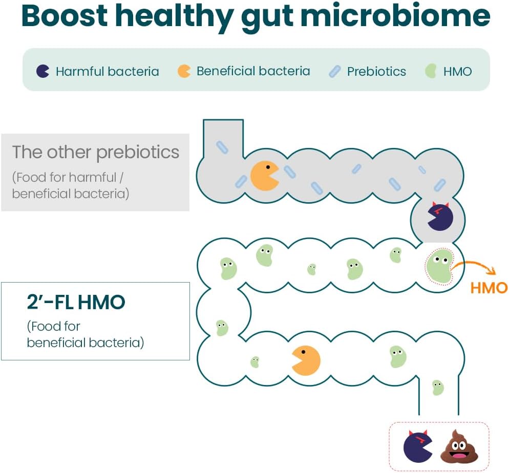 2'-FL HMO Prebiotics Probiotics Powder with 11 Patented Strains for Gut Health and Immune Support - 30 Sticks