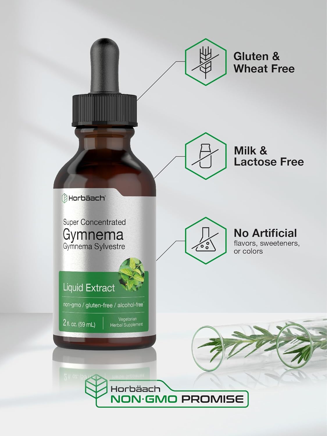 2 fl oz Horbäach Gymnema Sylvestre Liquid Extract Drops - Alcohol Free, Super Concentrated, Vegetarian, Non-GMO, Gluten Free