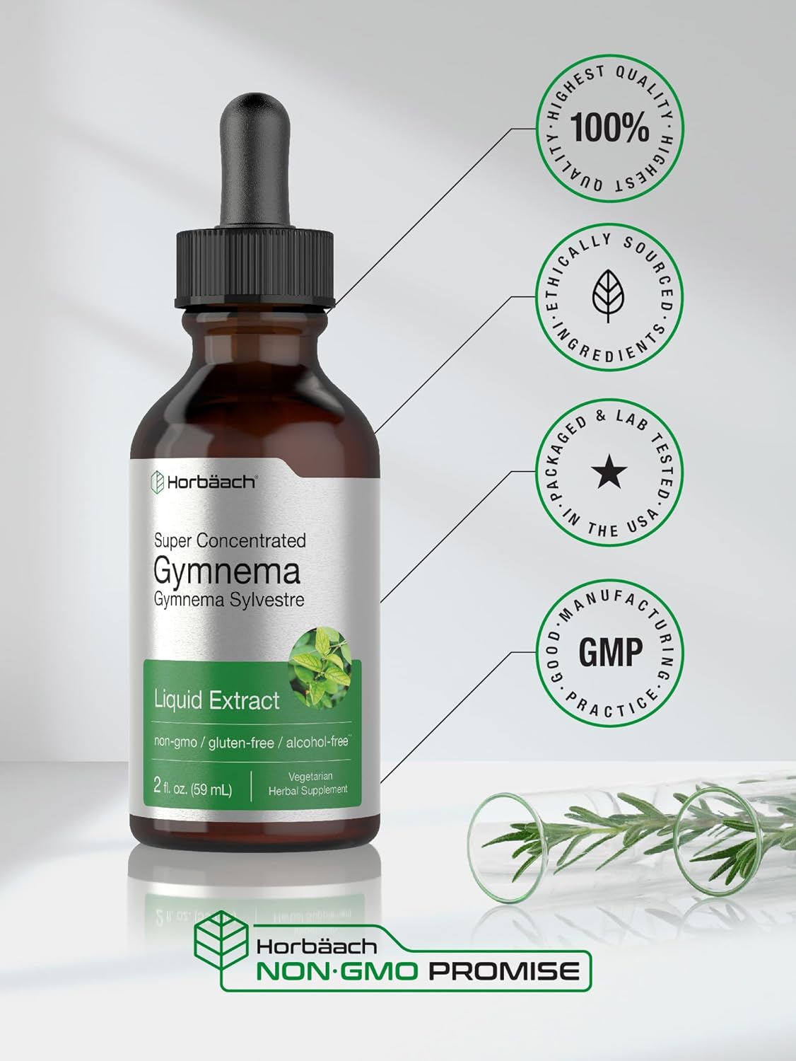 2 fl oz Horbäach Gymnema Sylvestre Liquid Extract Drops - Alcohol Free, Super Concentrated, Vegetarian, Non-GMO, Gluten Free