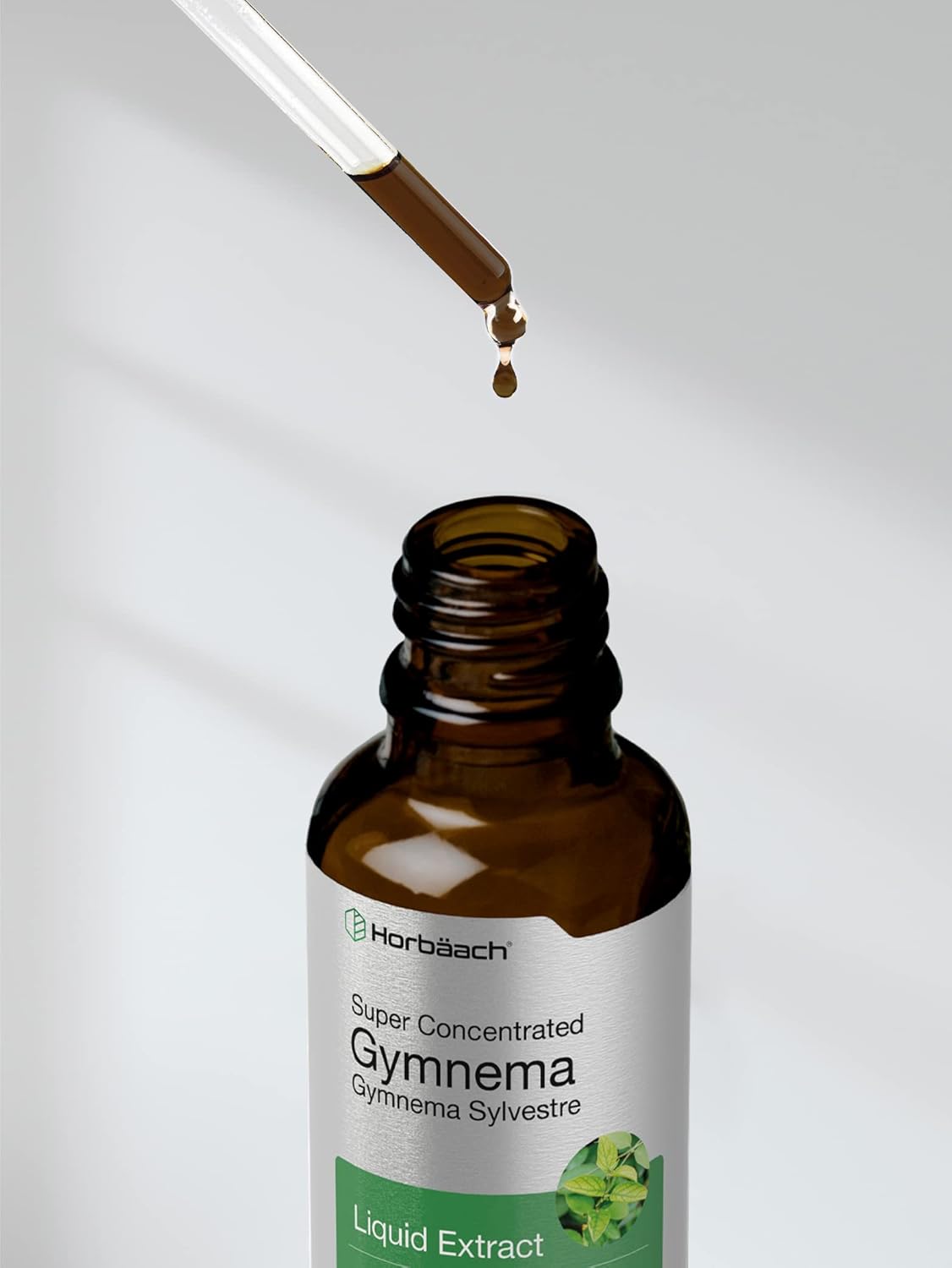 2 fl oz Horbäach Gymnema Sylvestre Liquid Extract Drops - Alcohol Free, Super Concentrated, Vegetarian, Non-GMO, Gluten Free