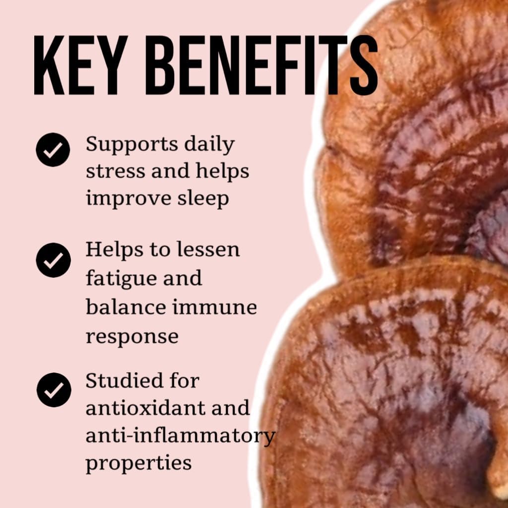 2 oz North Spore Organic Reishi Mushroom Tincture | 100% Fruiting Body Extract | Immune & Brain Support | Certified Organic, Vegan, Non-GMO | Adaptogenic & Nootropic | USA Made