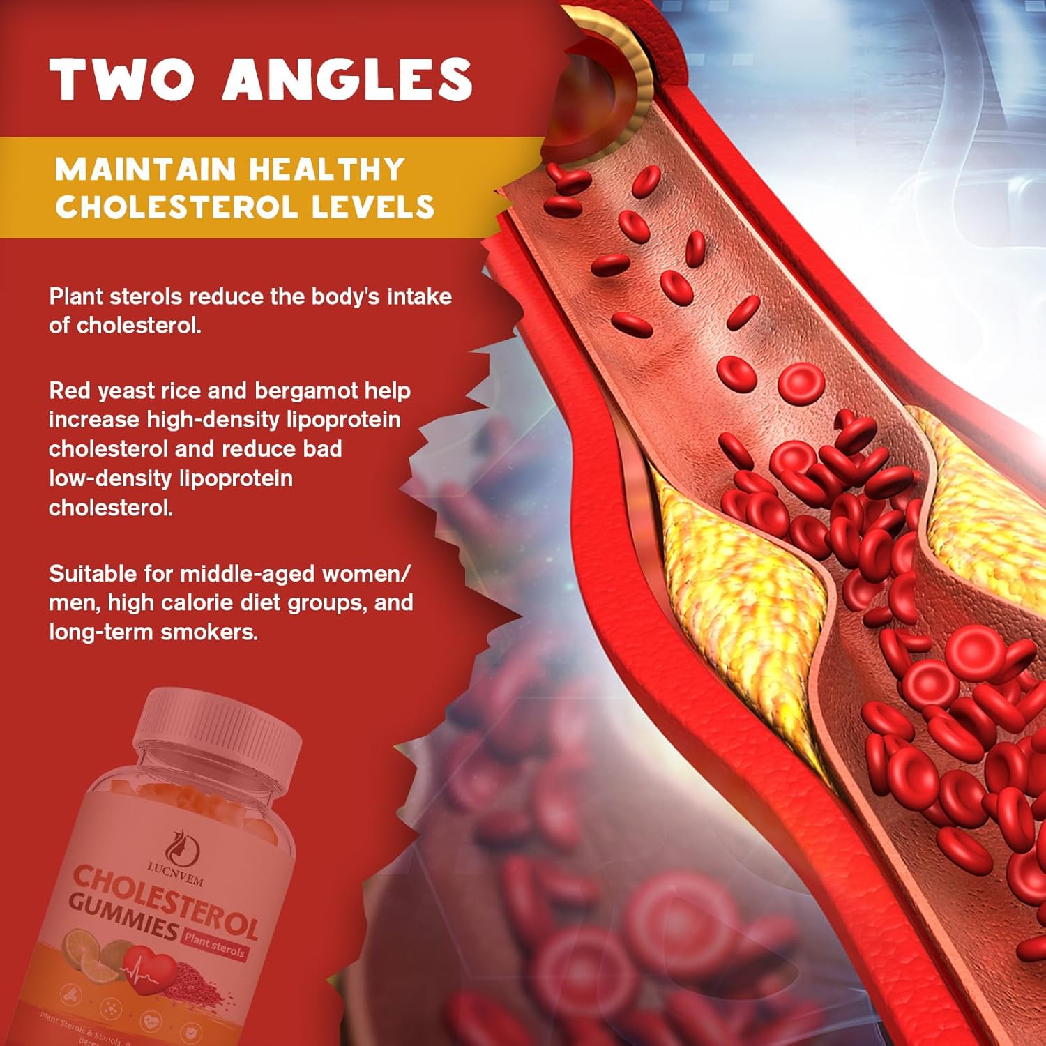 2 Pack Cholesterol Supplements Gummies - Plant Sterols, Stanols, Red Yeast Rice, Citrus Bergamot - Maintain Healthy Levels - 60 Day Supply