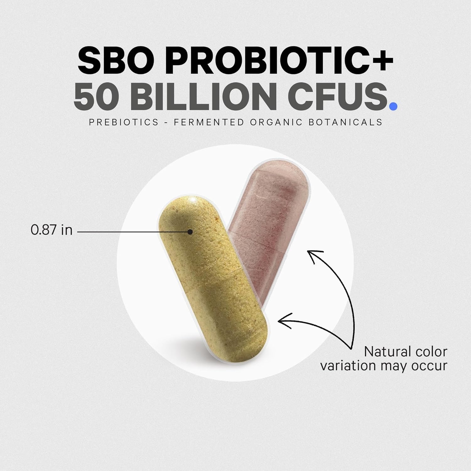 2 Pack Codeage SBO Probiotics: 50 Billion CFUs, Multi Strain Soil Based Organisms & Organic Botanical Blend
