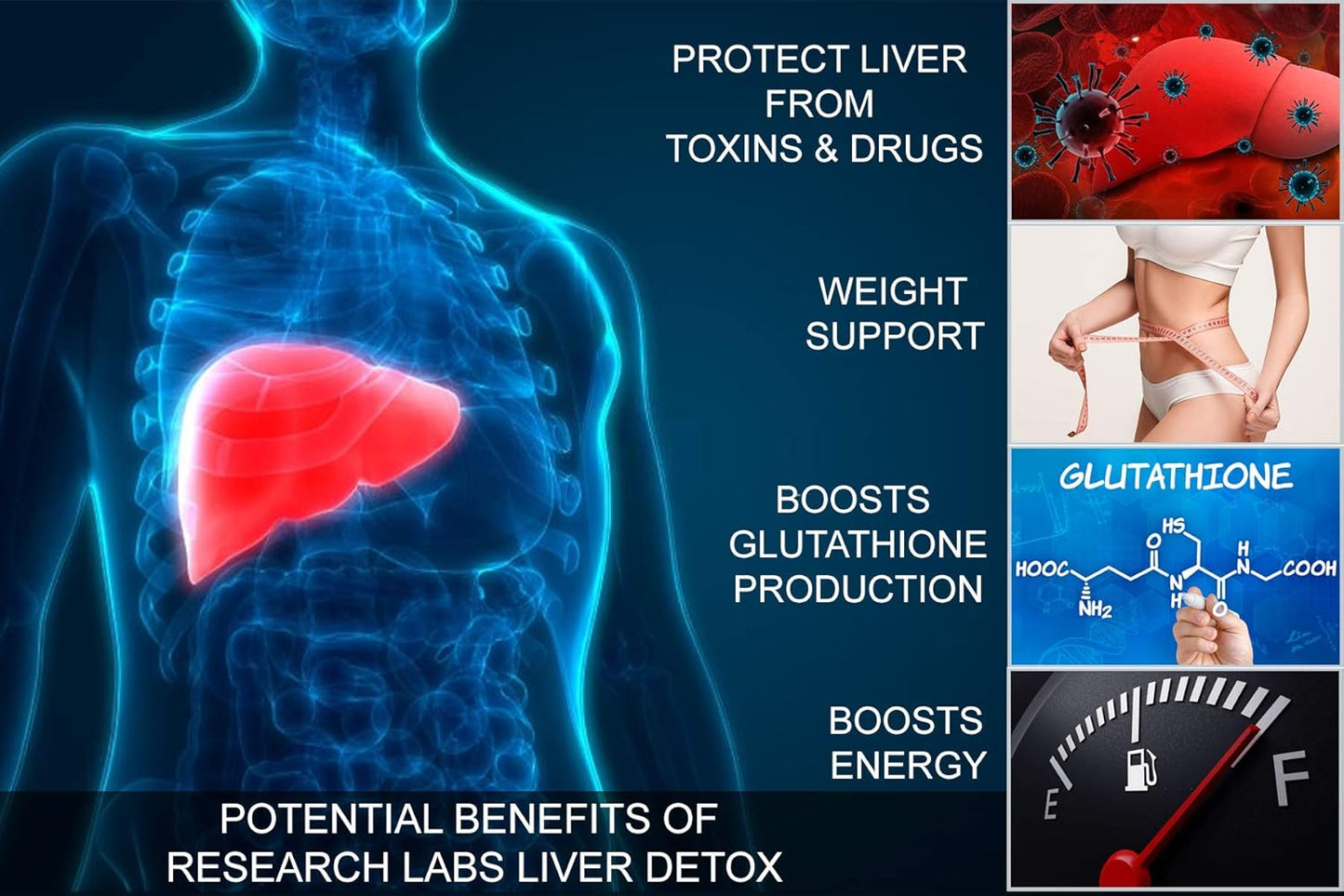 2 Pack Liver Detox Cleanse & Support with 23 Powerful Herbs - Doctor Recommended Premium Formula with Milk Thistle, Beet Root, Dandelion