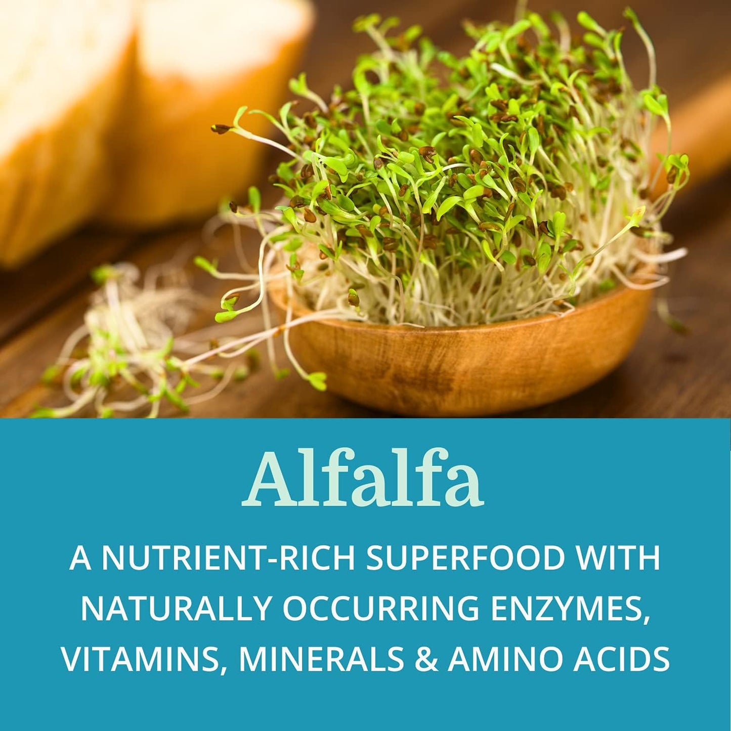 2 Pack Morter HealthSystem SuperDigest: Best Alkaline Multi-Enzyme Digestive Support with Alfalfa, Papain & Bromelain