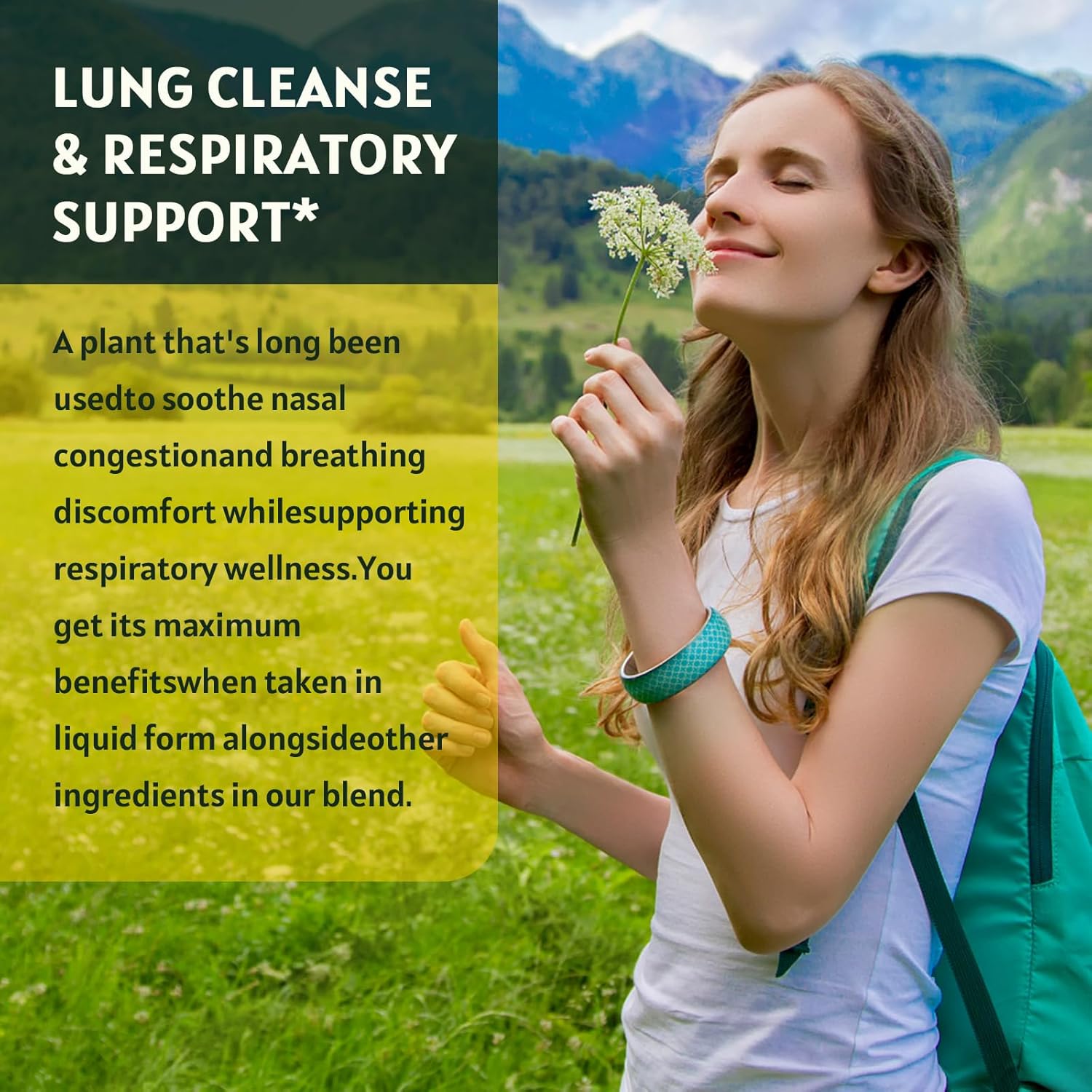 2 Pack Mullein Drops for Lungs - Respiratory Support with Elderberry, Marshmallow Root, and Orange Peel - Bronchial Health - 1 Fl Oz