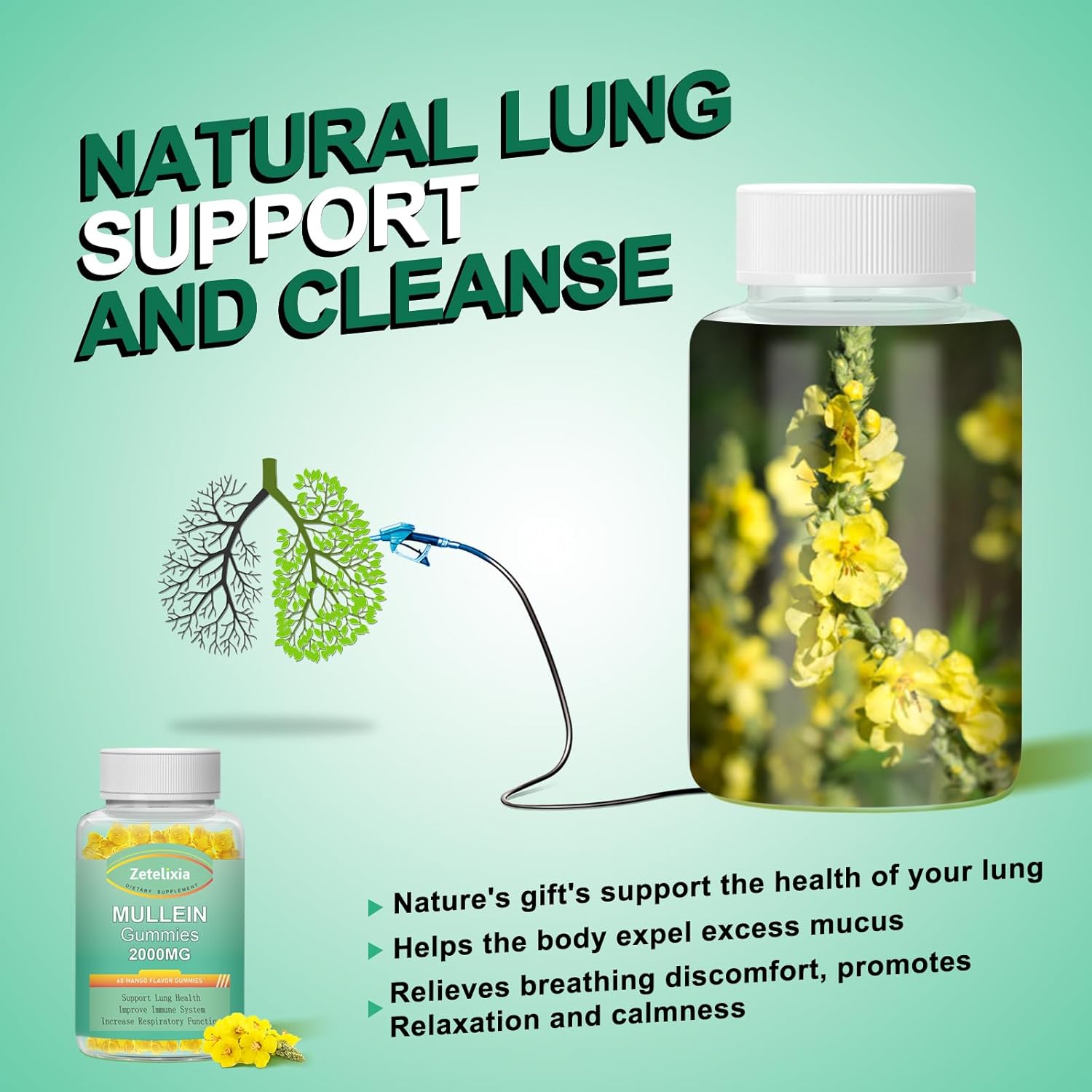 2 Pack Mullein Gummies for Lung Health - Mullein Leaf Extract, Lung Detox Cleanse, Immune Support Supplement, Mucus Relief - 120 Vegan Gummies