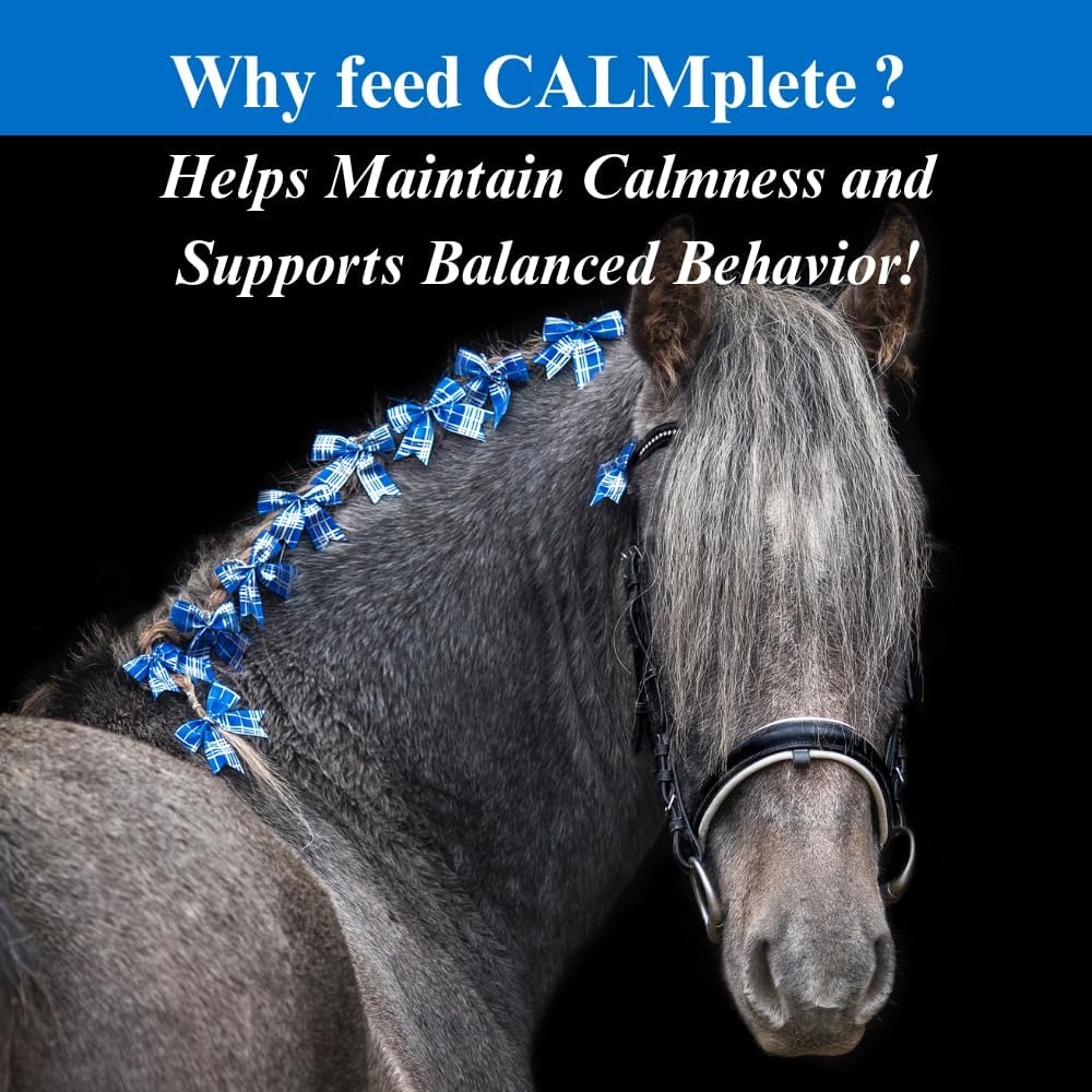 2 Pack of SU-PER CALMplete Calming Paste for Horses - 80CC Each - Promotes Calmness and Balanced Behavior