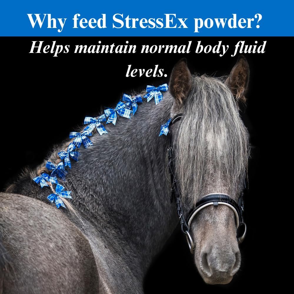 2 Pack SU-PER Stress-Ex Horse Electrolyte Supplement - 4 Pound - Maintain Body Fluid Levels - Electrolyte Replenishment for Hydration
