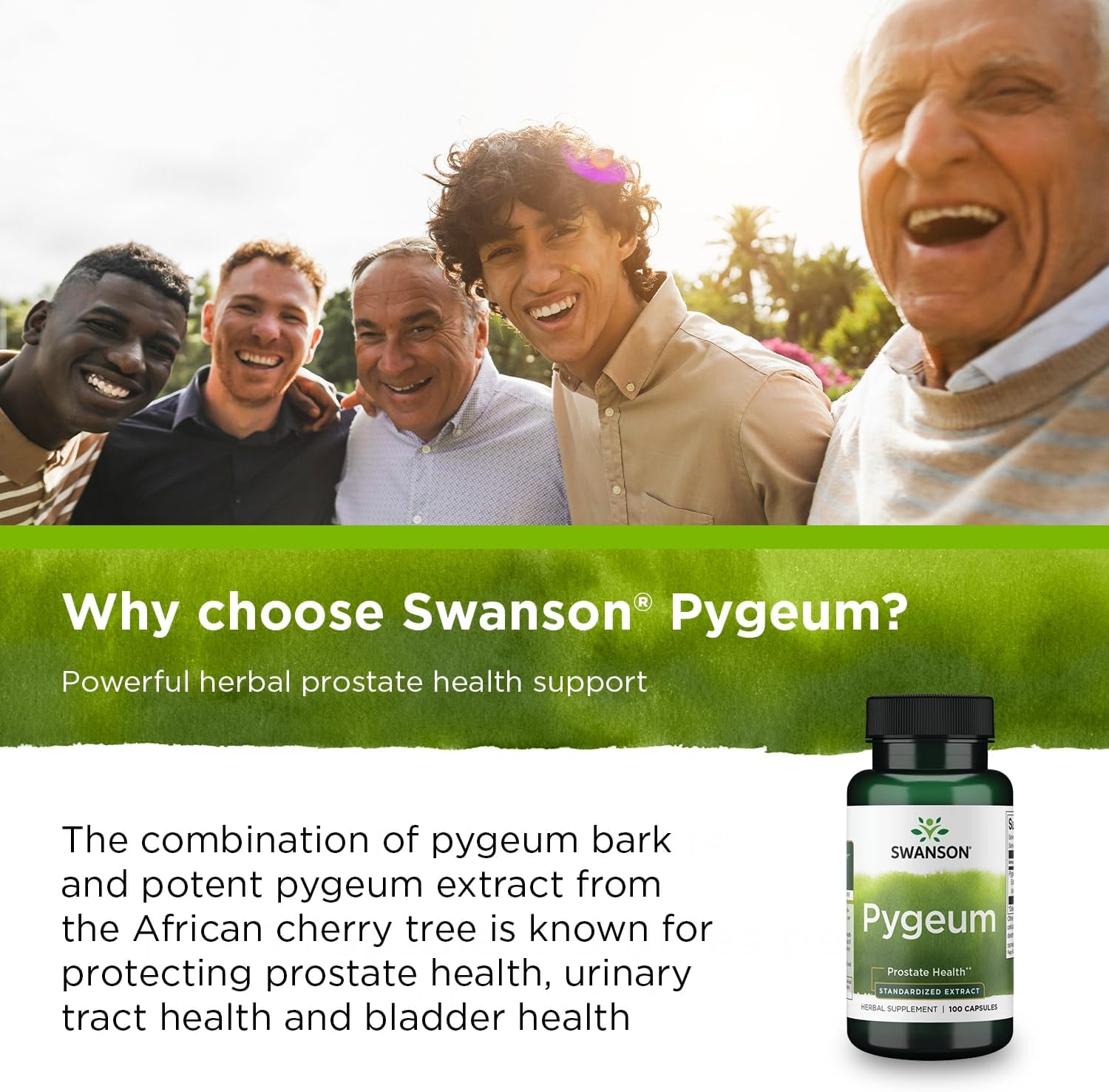 2 Pack Swanson Pygeum Capsules 125mg - Herbal Supplement for Men's Prostate, Bladder, and Urinary Tract Health - Male Health Support Formula