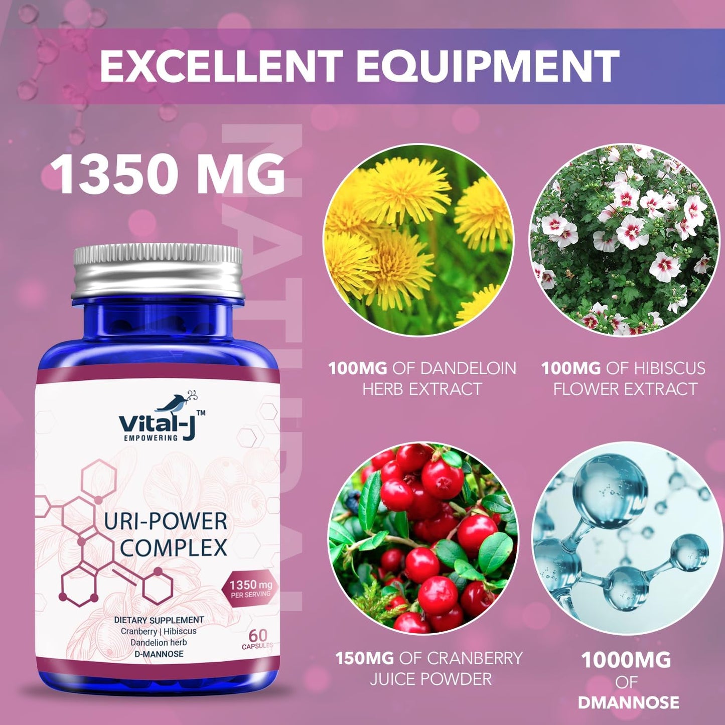 2-Pack Vital-J 4-IN-1 URI POWER COMPLEX 1350mg - D Mannose, Cranberry, Hibiscus, Dandelion Herb - Bladder & UTI Cleanse - 60 Day Supply