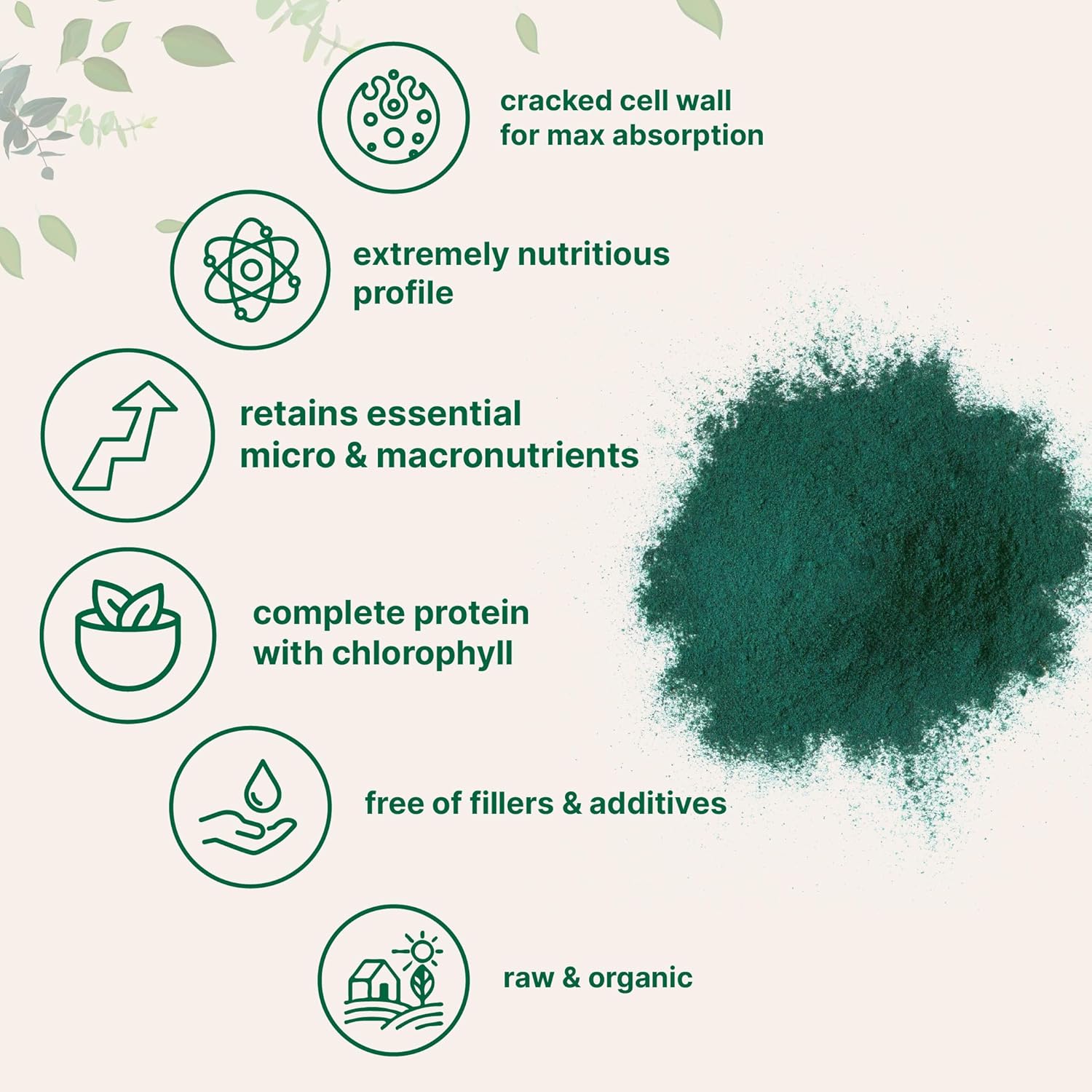 20 oz Organic Chlorella Powder - Broken Cell Wall for Maximum Absorption - Raw Superfood Supplement with Protein & Vitamins - Non-GMO, Vegan - Non-Irradiated