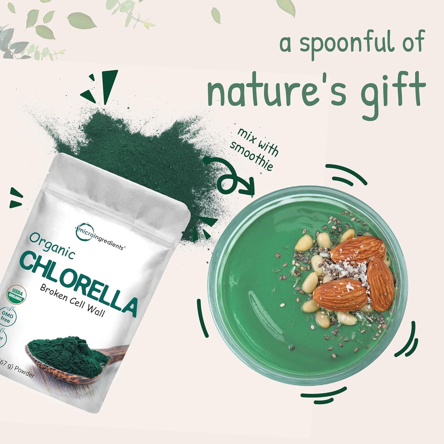 20 oz Organic Chlorella Powder - Broken Cell Wall for Maximum Absorption - Raw Superfood Supplement with Protein & Vitamins - Non-GMO, Vegan - Non-Irradiated