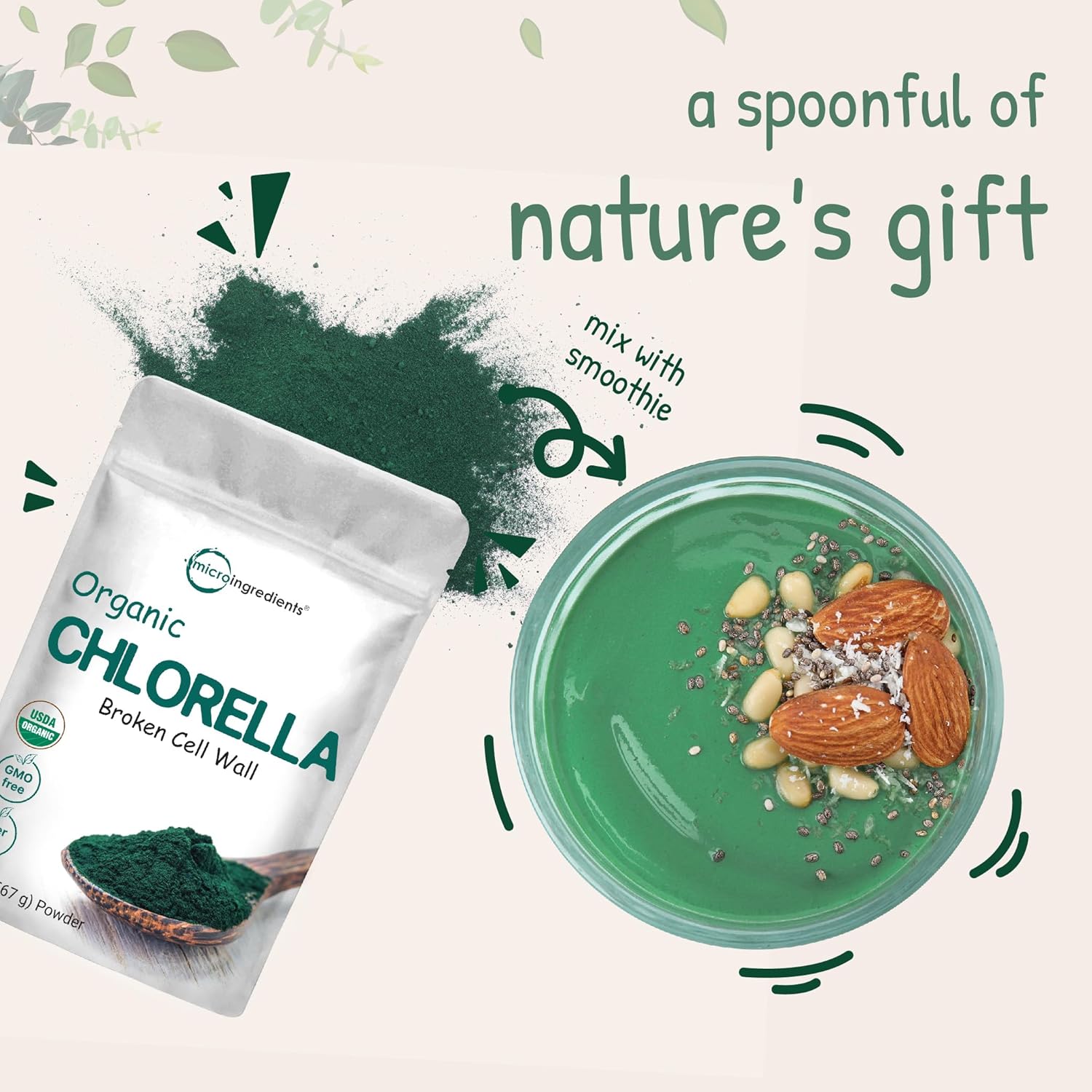 20 oz Organic Chlorella Powder - Broken Cell Wall for Maximum Absorption - Raw Superfood Supplement with Protein & Vitamins - Non-GMO, Vegan - Non-Irradiated