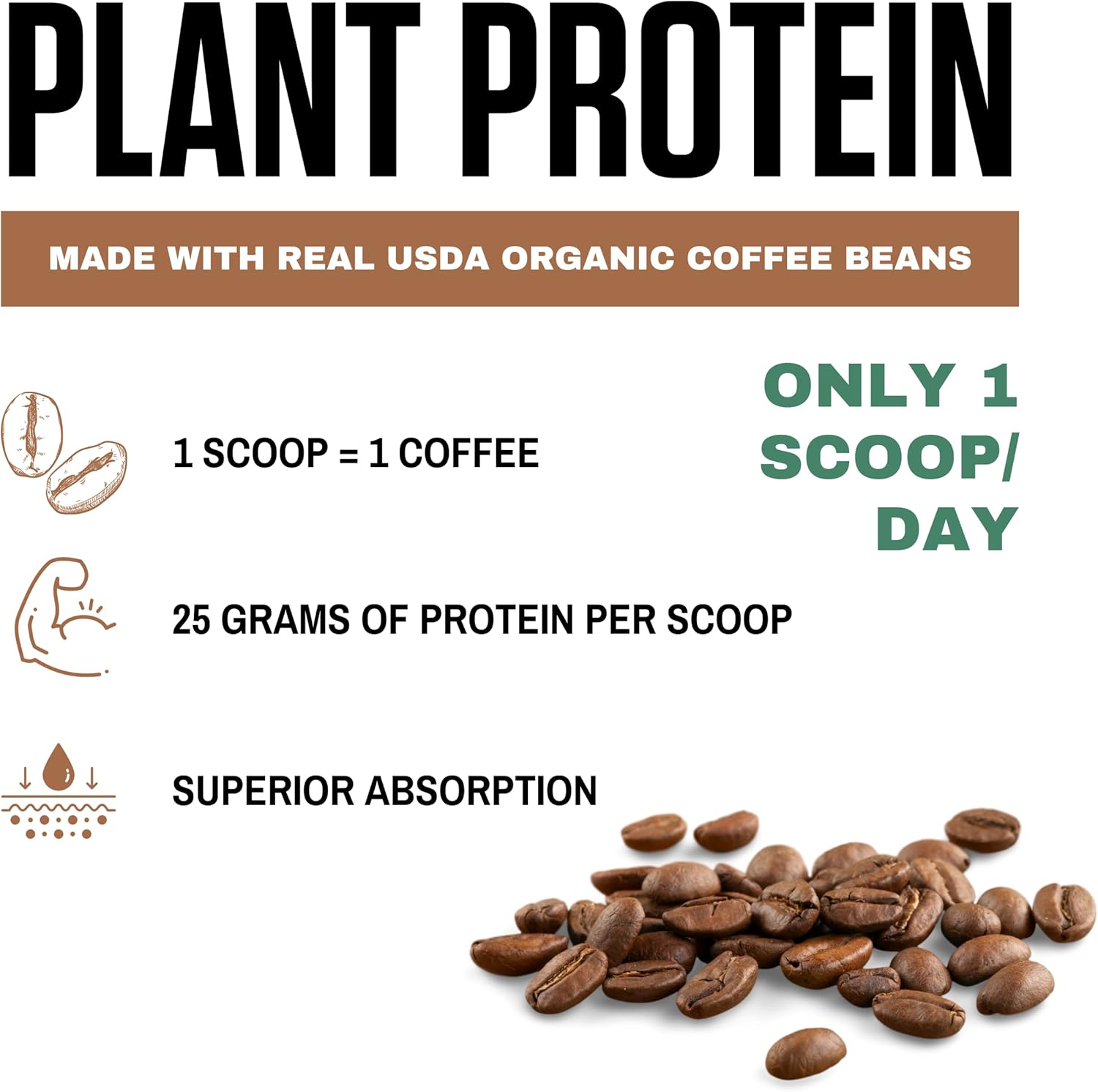 20 Servings of vedge Organic Plant Protein Cold Brew Latte - Vegan, USDA Certified, Gluten Free, Non Dairy Powder
