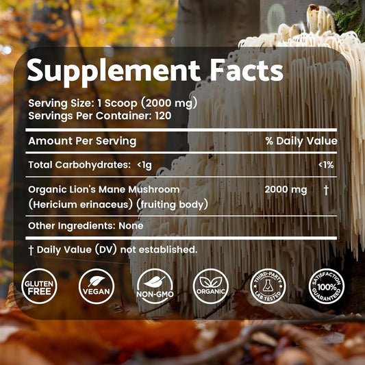 2000mg Lions Mane Mushroom Powder Supplement for Memory, Focus, and Immune Support - 120 Servings from WELLNESS LABSRX