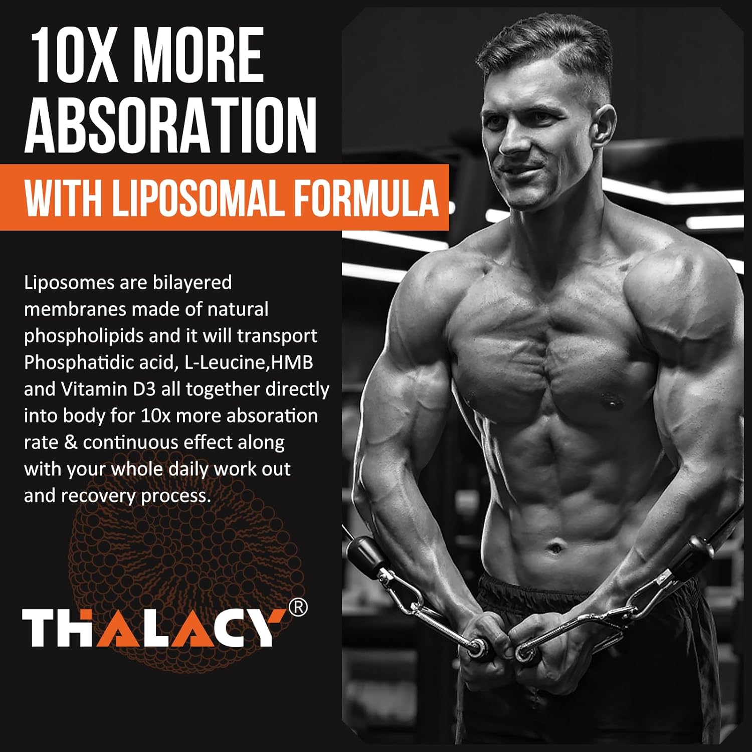 2000mg Liposomal Phosphatidic Acid Muscle Builder (PA) Supplement for Men & Women - High Absorption Muscle Gainer, mTOR Protein Synthesis Support, Lean Muscle & Strength - 4 Pack