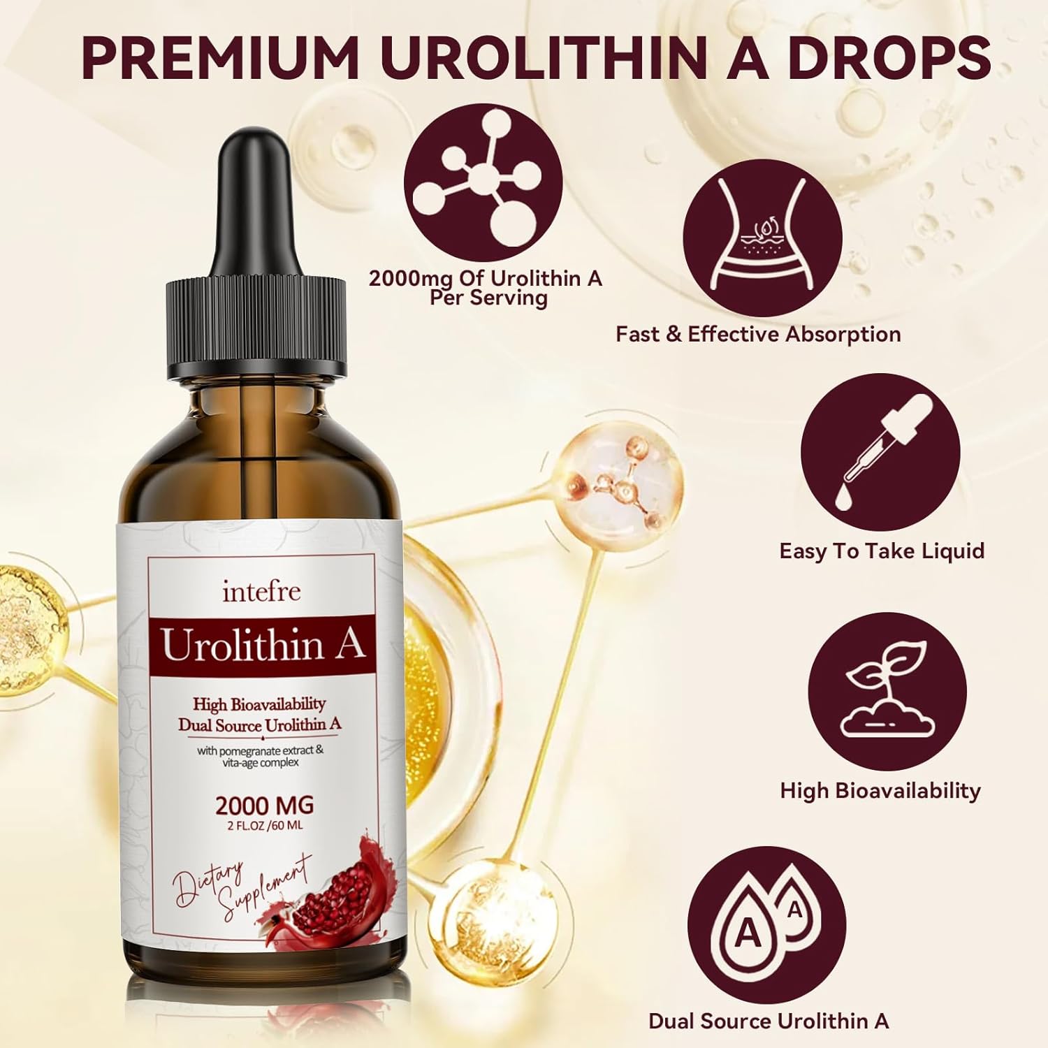 2000mg Urolithin A Liquid Drops with Pomegranate Extract for Healthy Aging & Cell Repair