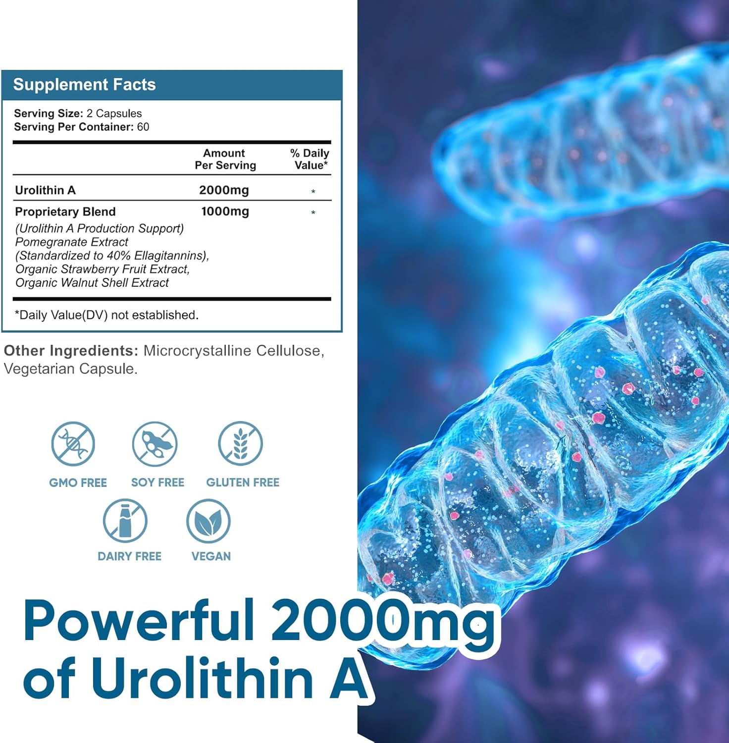 2000mg Urolithin A Supplement - 360 Capsules for Healthy Aging & Cell Repair, Antioxidant Support for Men & Women