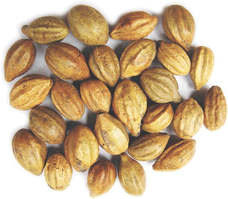 200g of Indian Origin Yuktha Naturals Terminalia Chebula Inknut Haritaki Kadukkai Harad Herbs